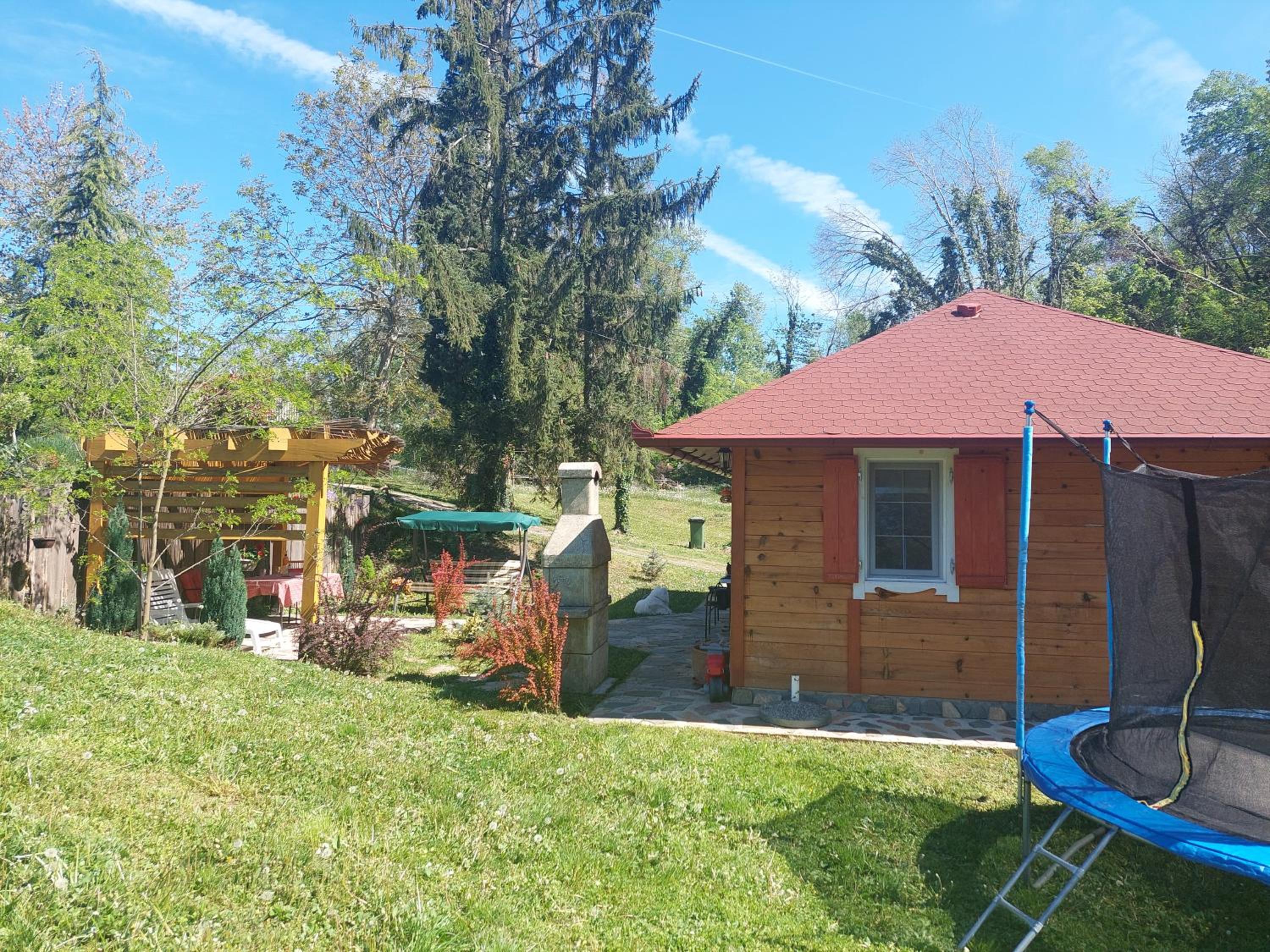 Photo 21