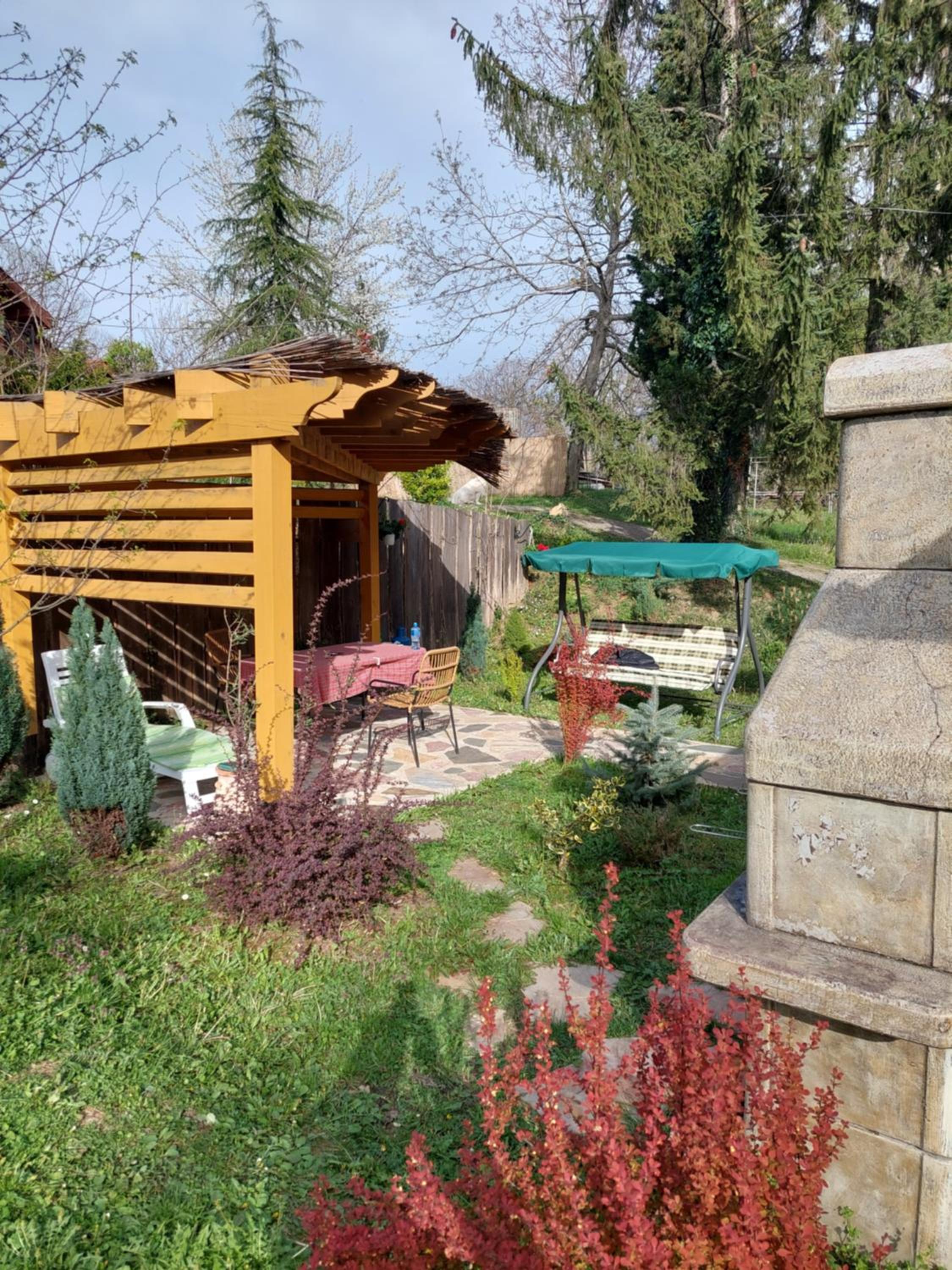 Photo 22