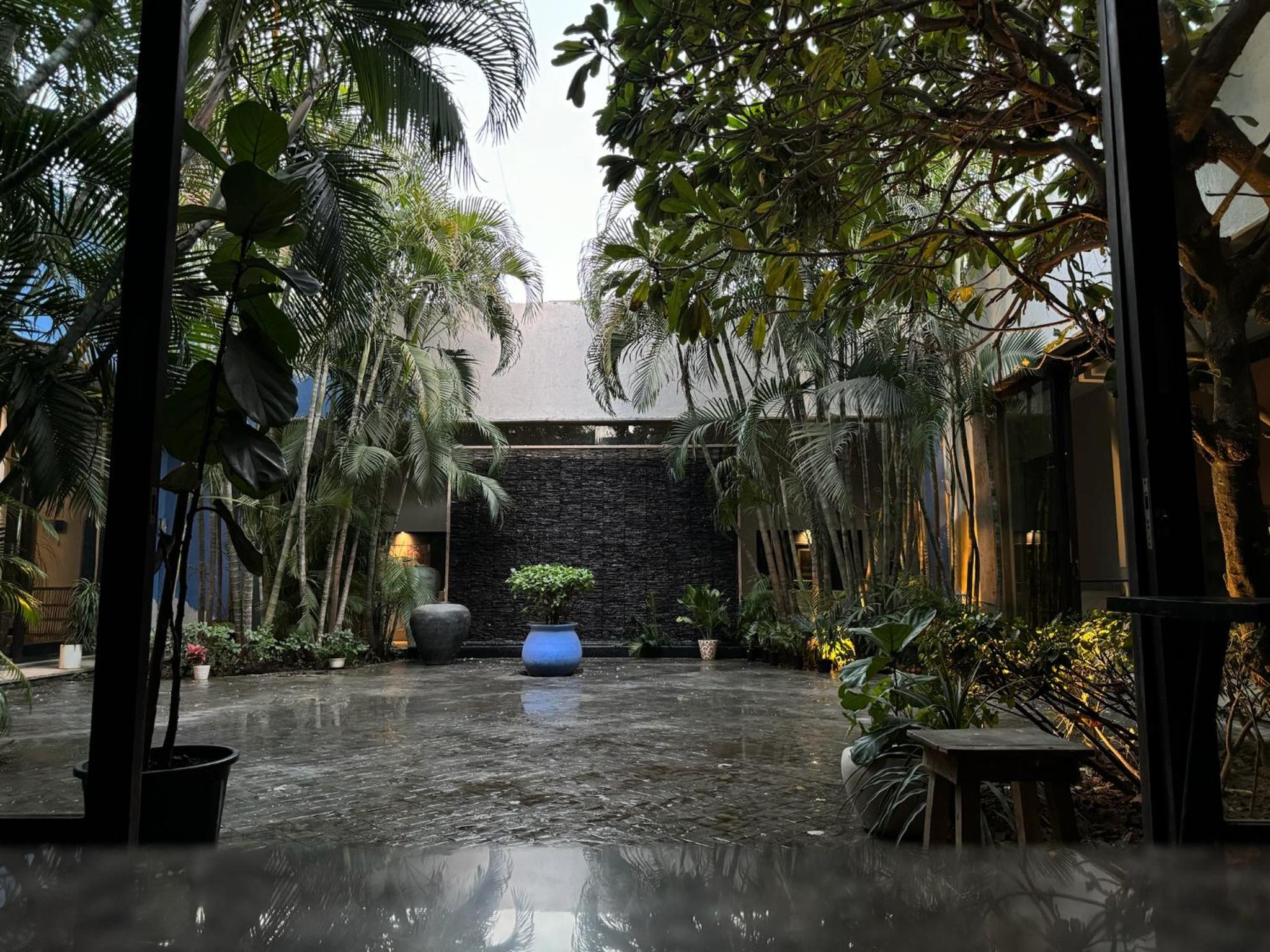 The Blue Lotus view 4