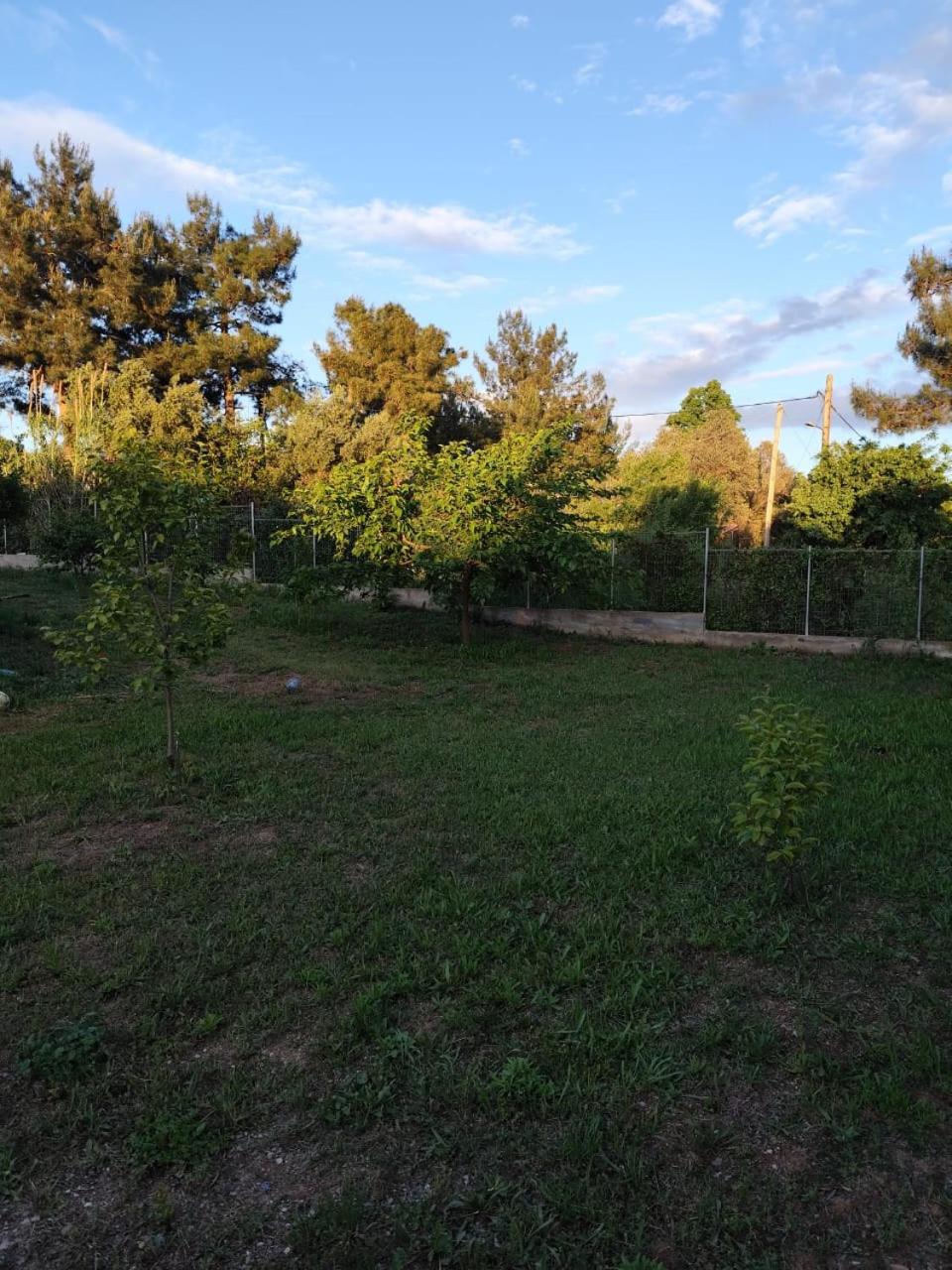 Photo 34