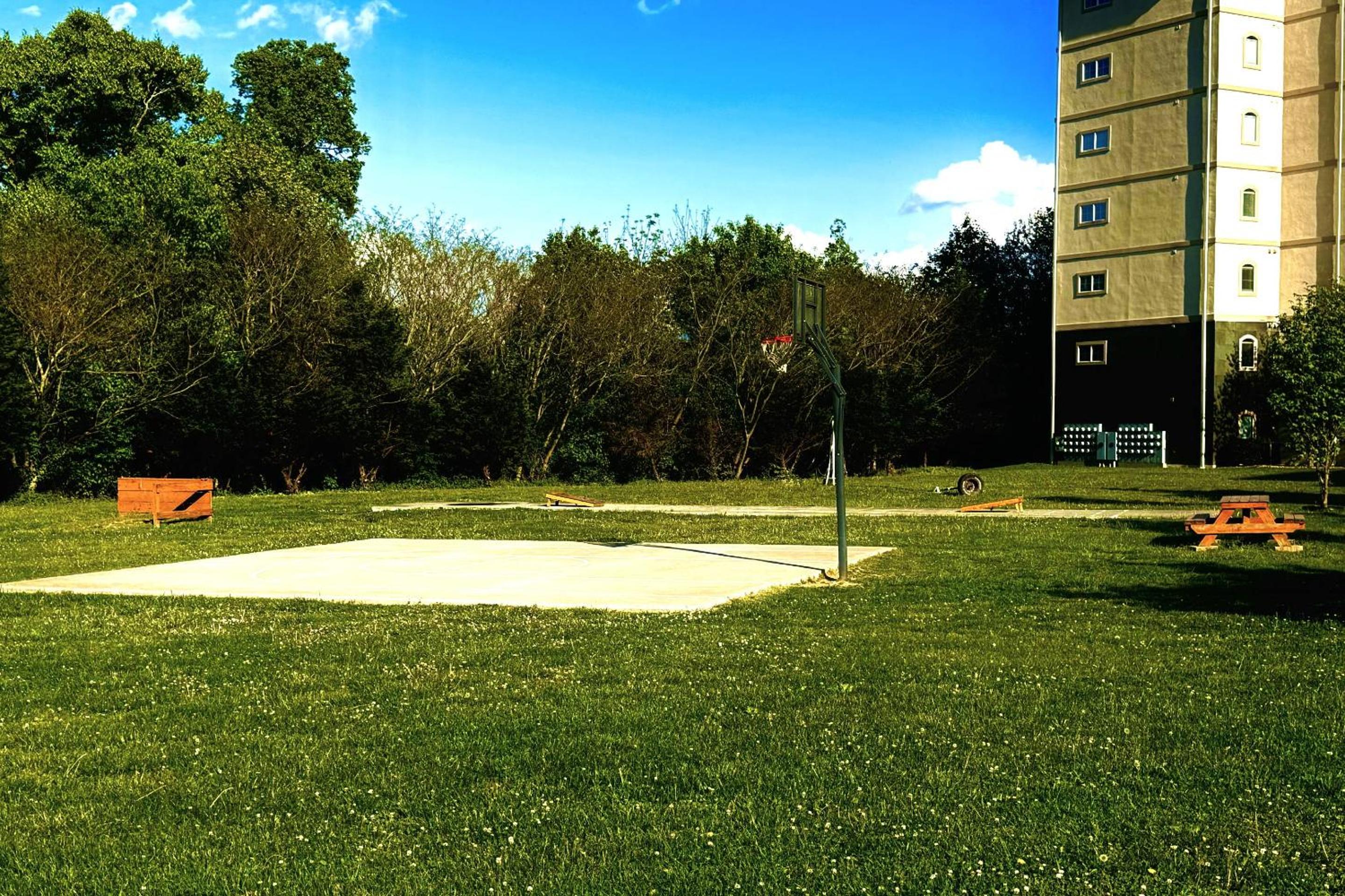 Photo 43