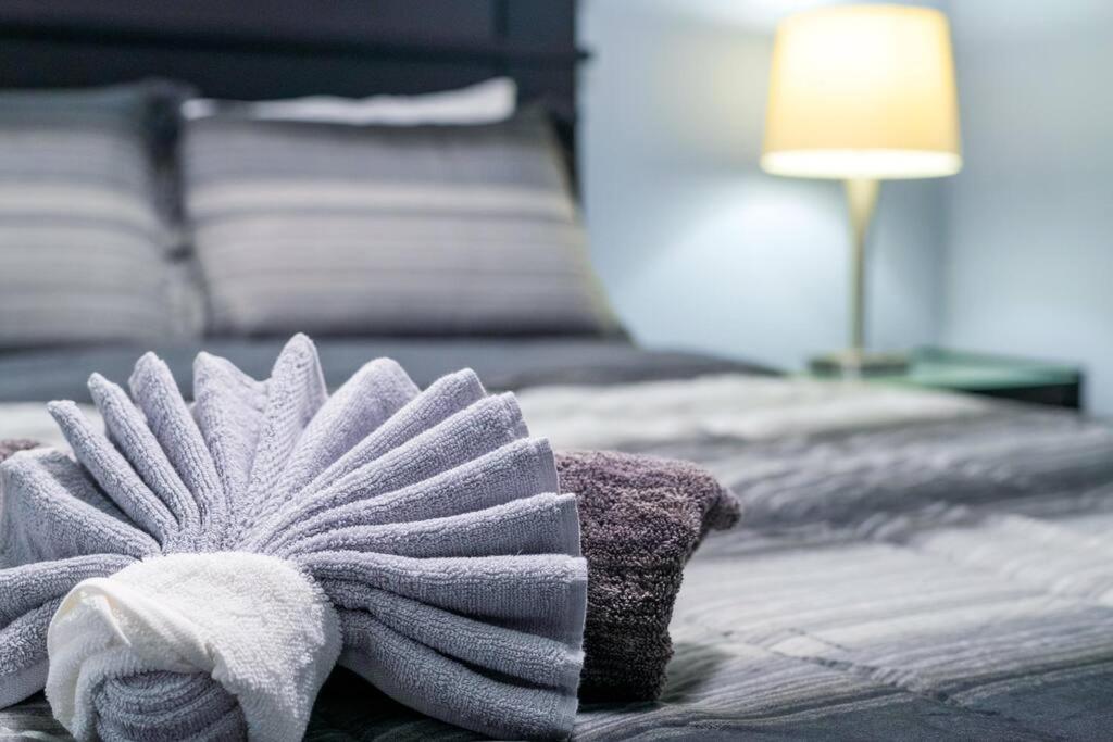 Cozy Suite - Walk to West Ed Mall