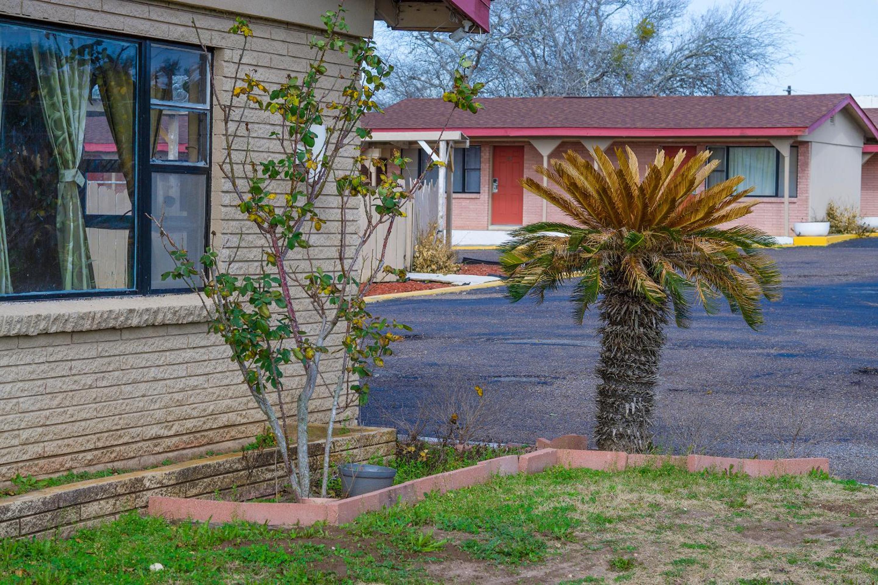 OYO Hotel Beeville -US 181