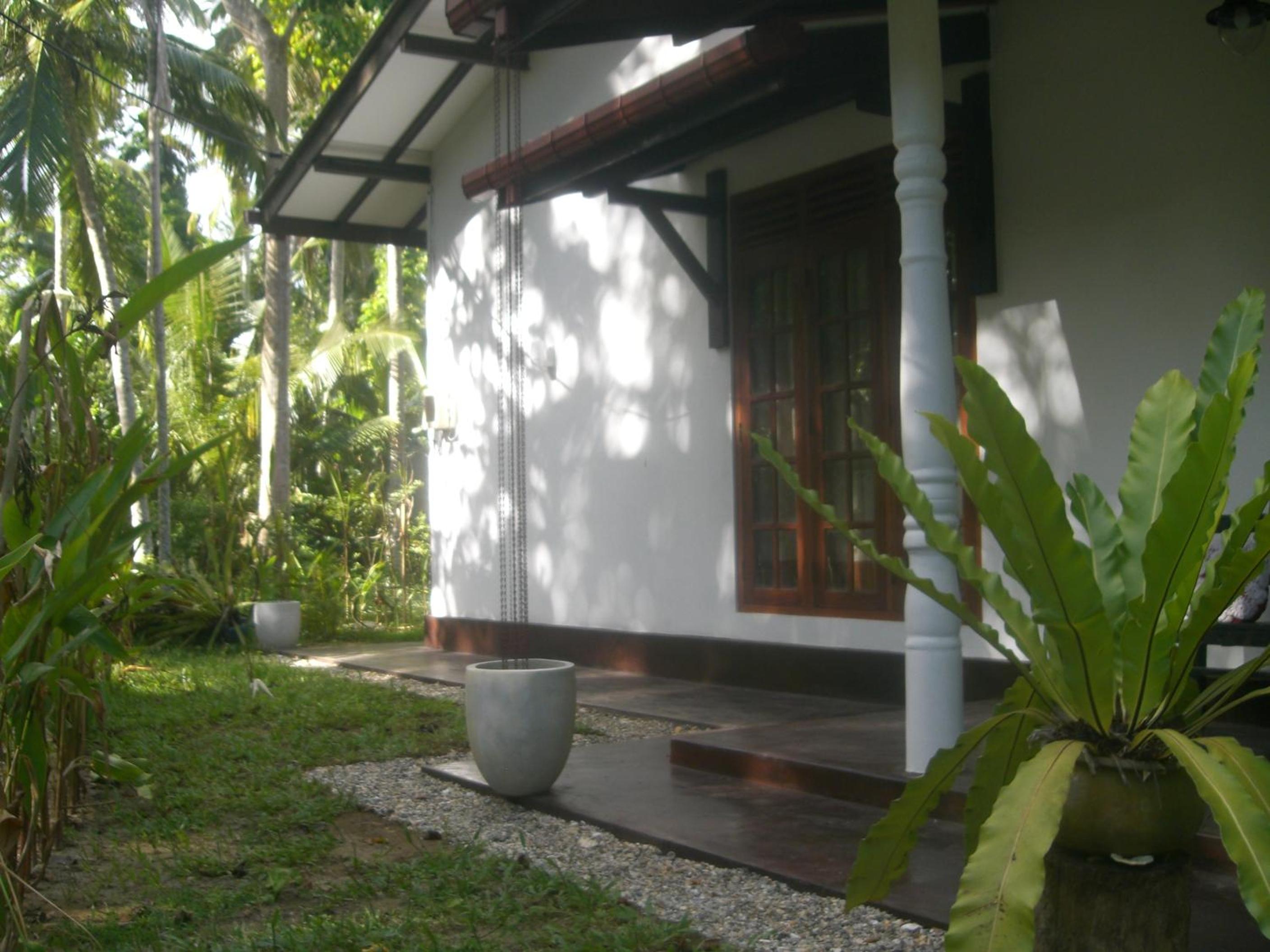 Bird Villa view 4