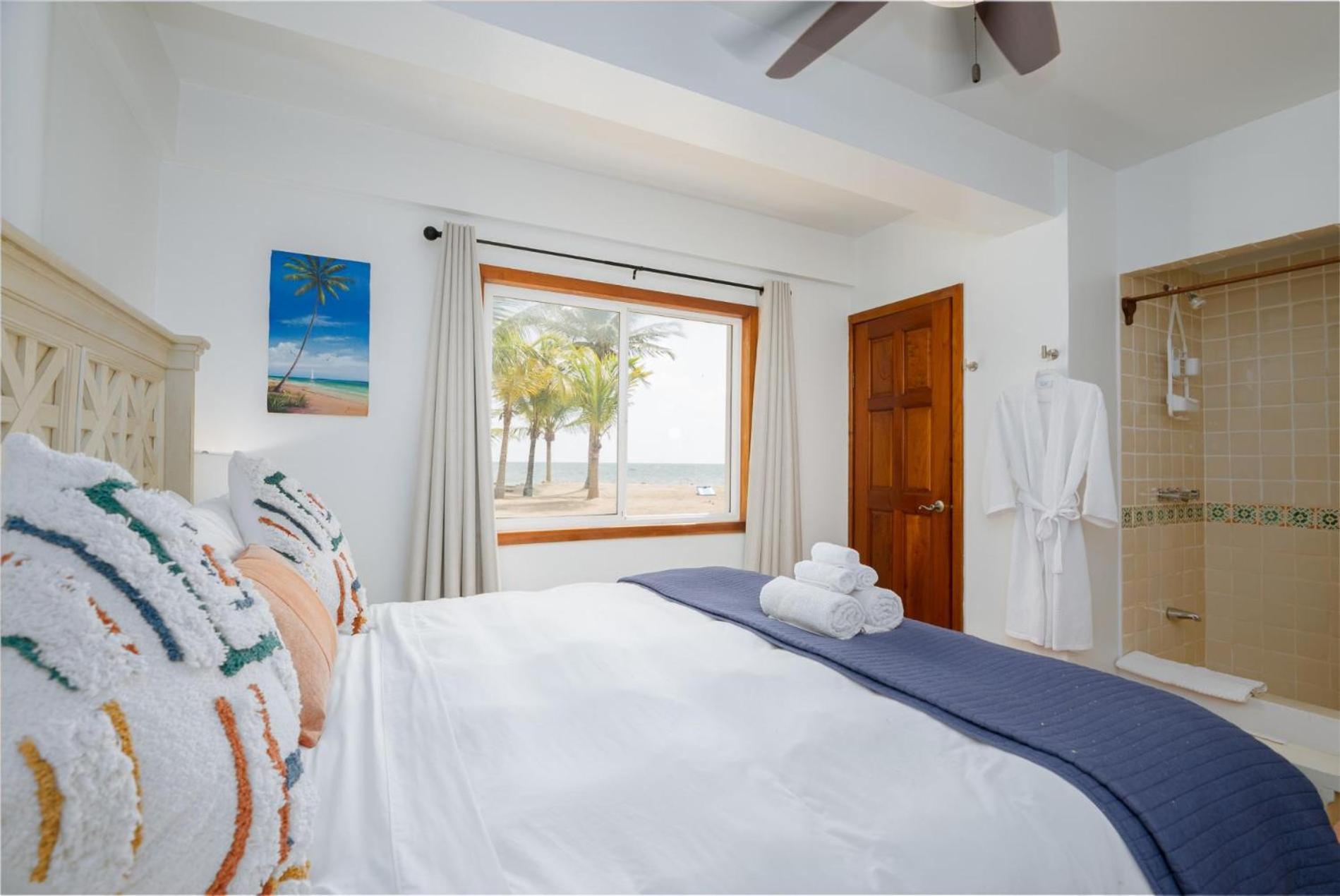 Dolphin Beach - Private Oceanfront 4-Bed Villa wPool on Huge Lot