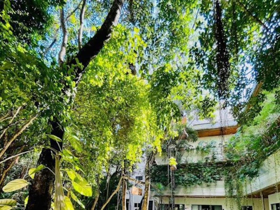 Penthouse con alberca privada