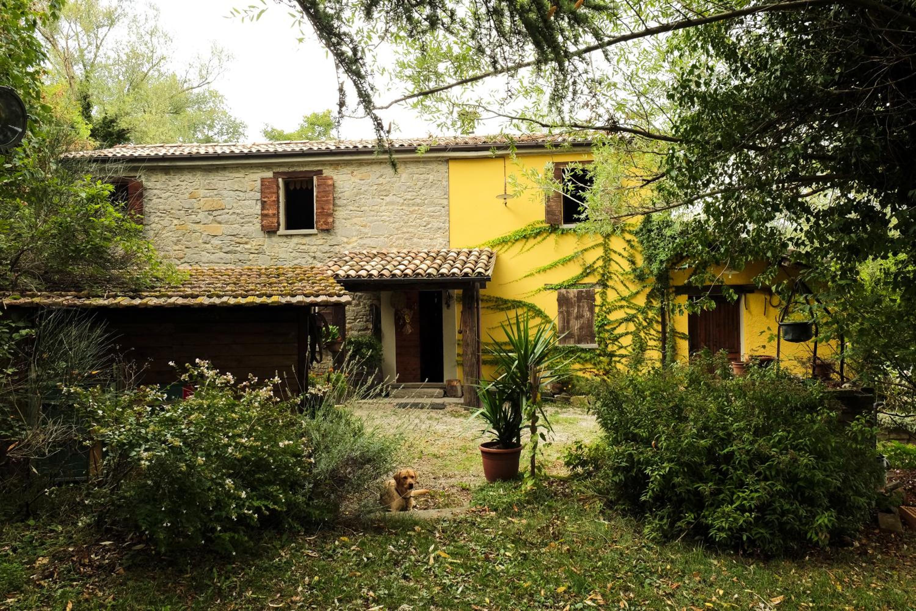B&B Ca'del Gallo view 3