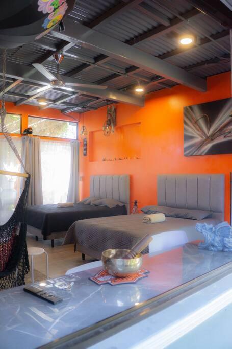 Monkey garage en Orosi