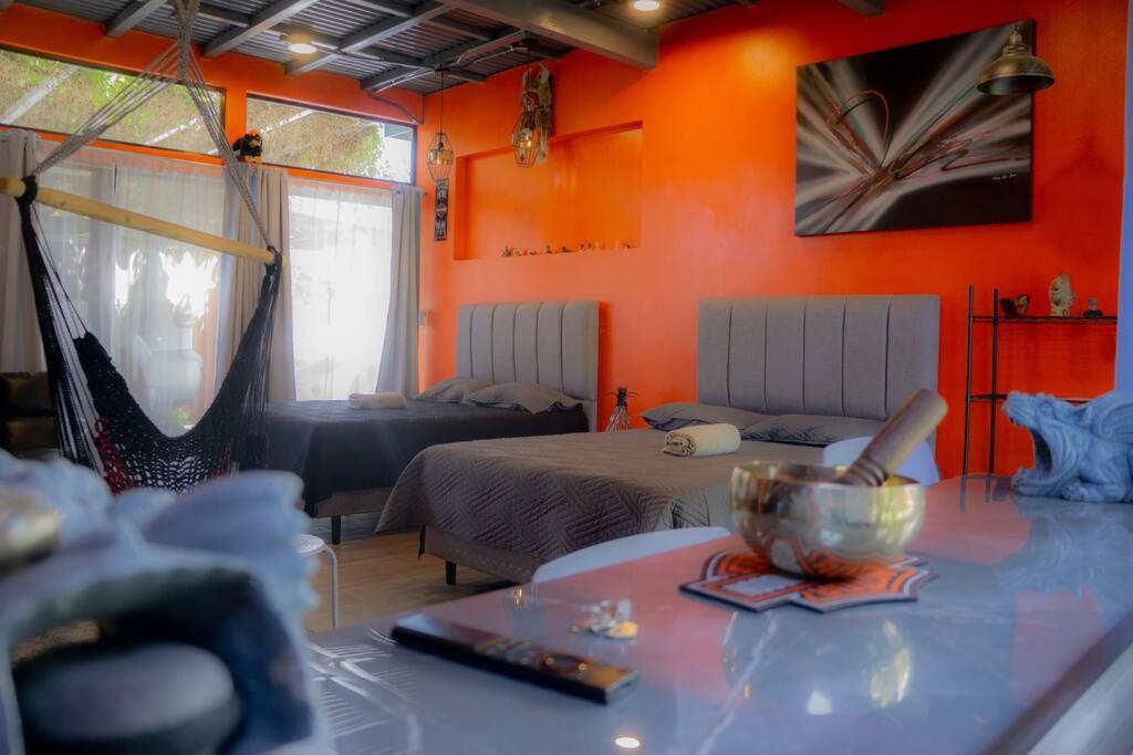 Monkey garage en Orosi