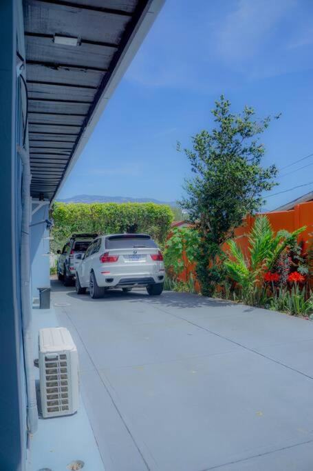 Monkey garage en Orosi