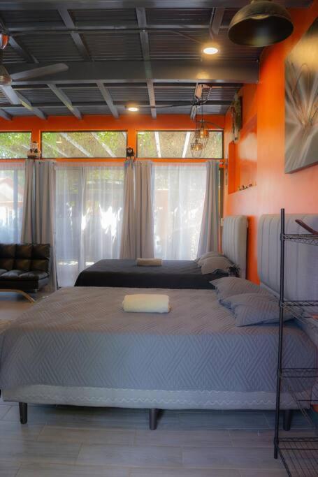 Monkey garage en Orosi