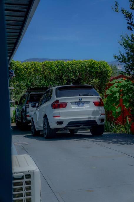 Monkey garage en Orosi