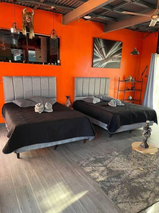 Monkey garage en Orosi