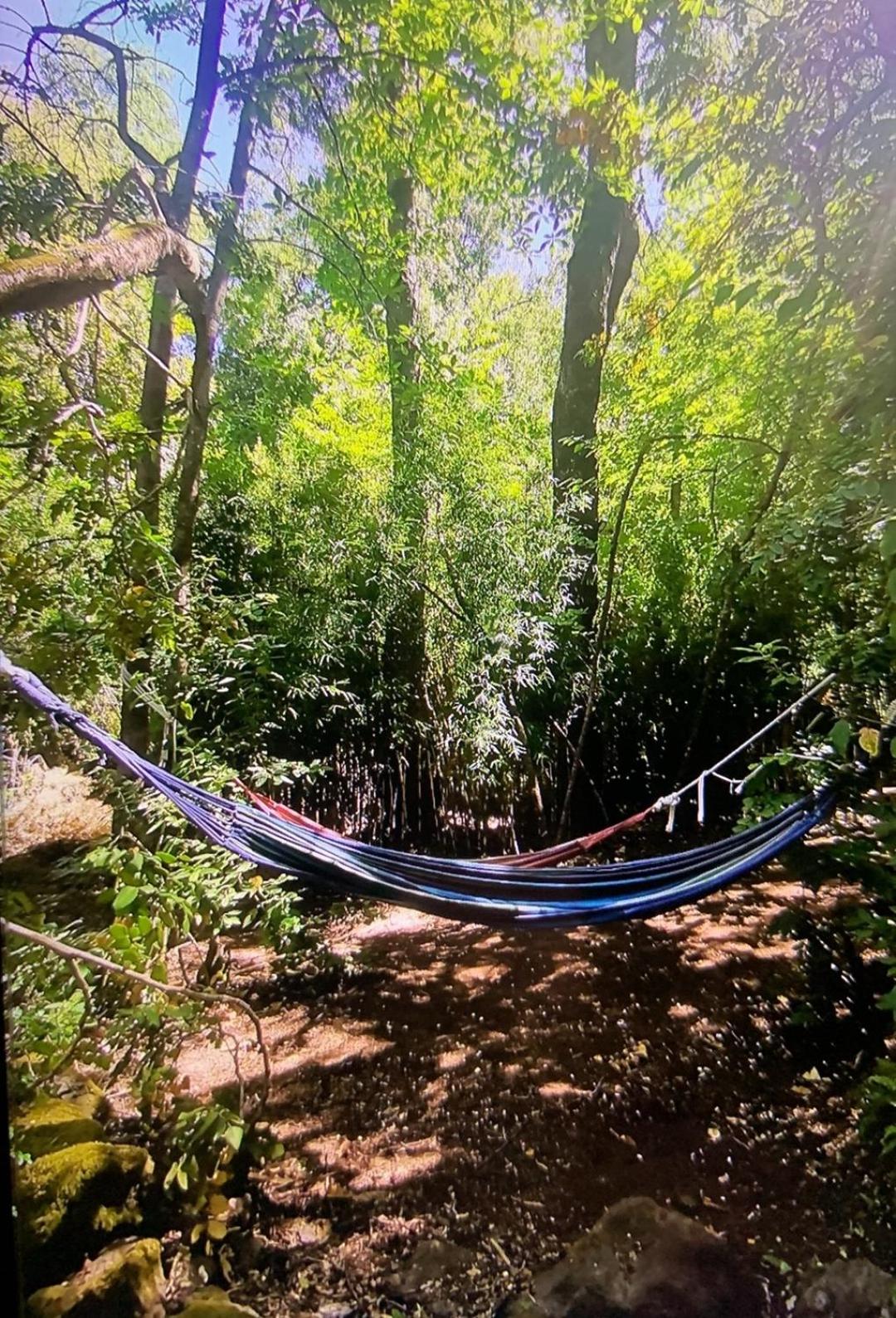 Cabaña bosque