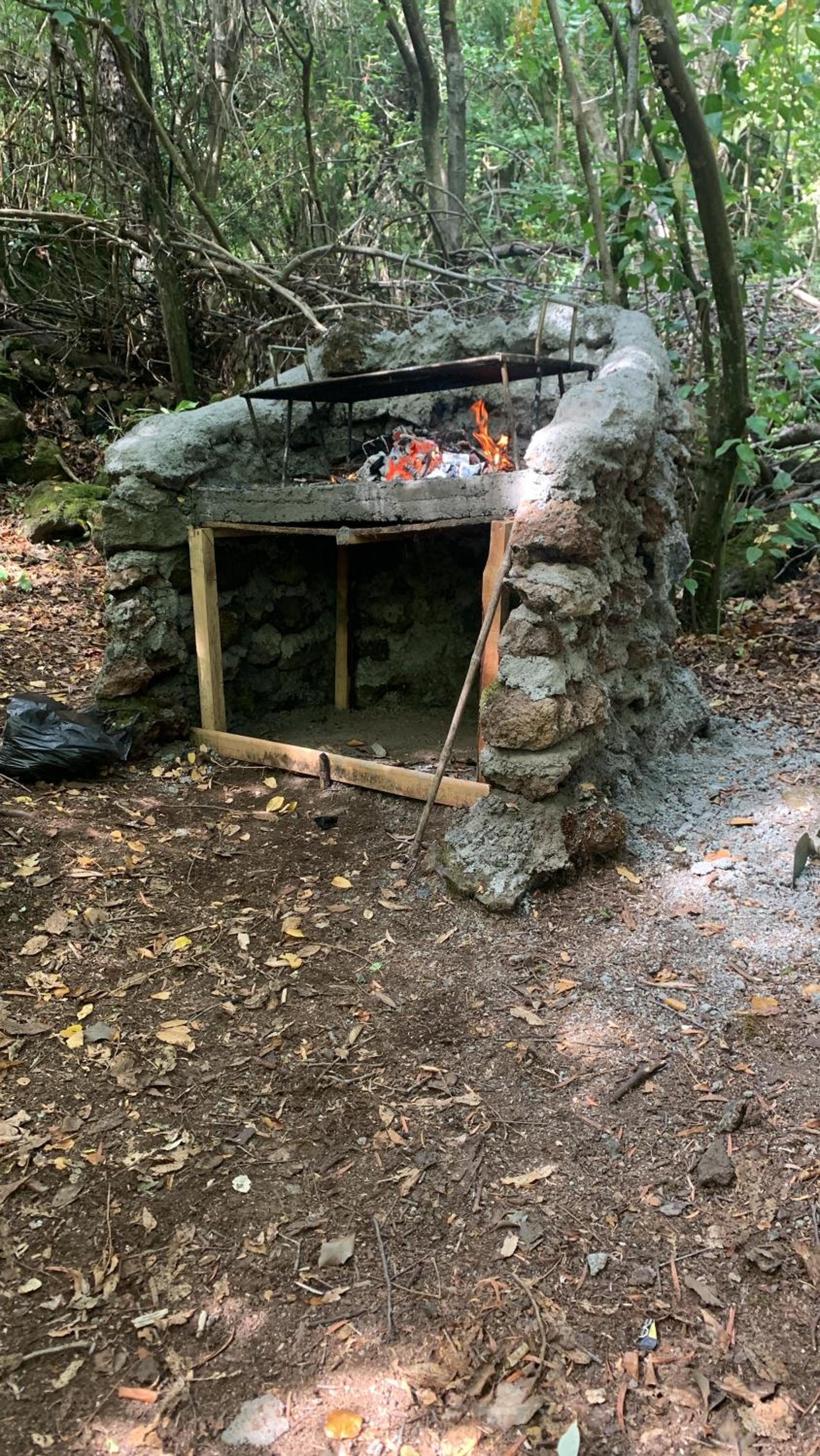 Cabaña bosque