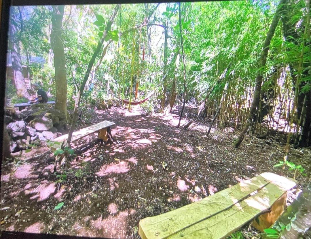 Cabaña bosque