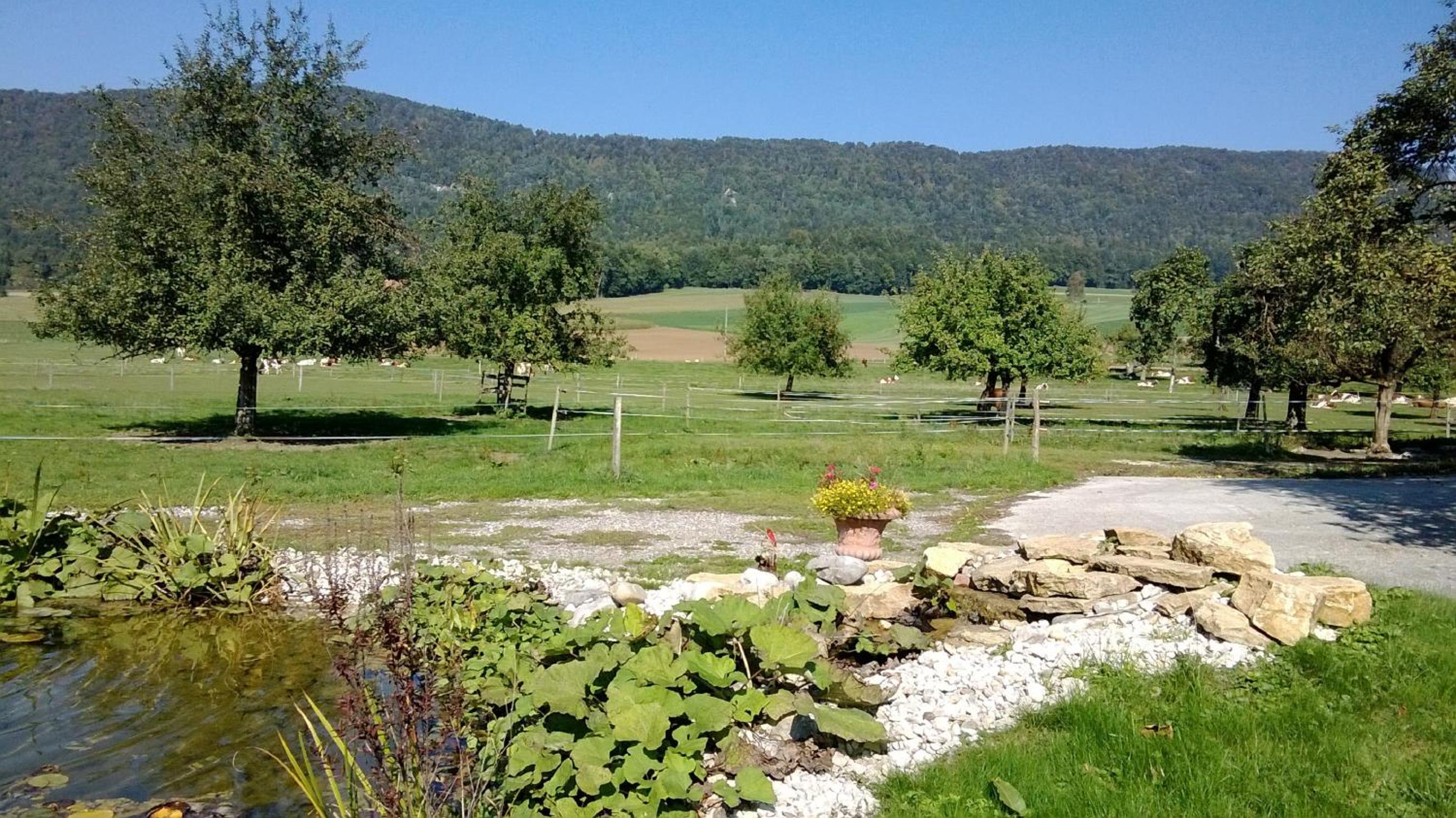 Hôtel-Gîte rural à 3 km de Delémont