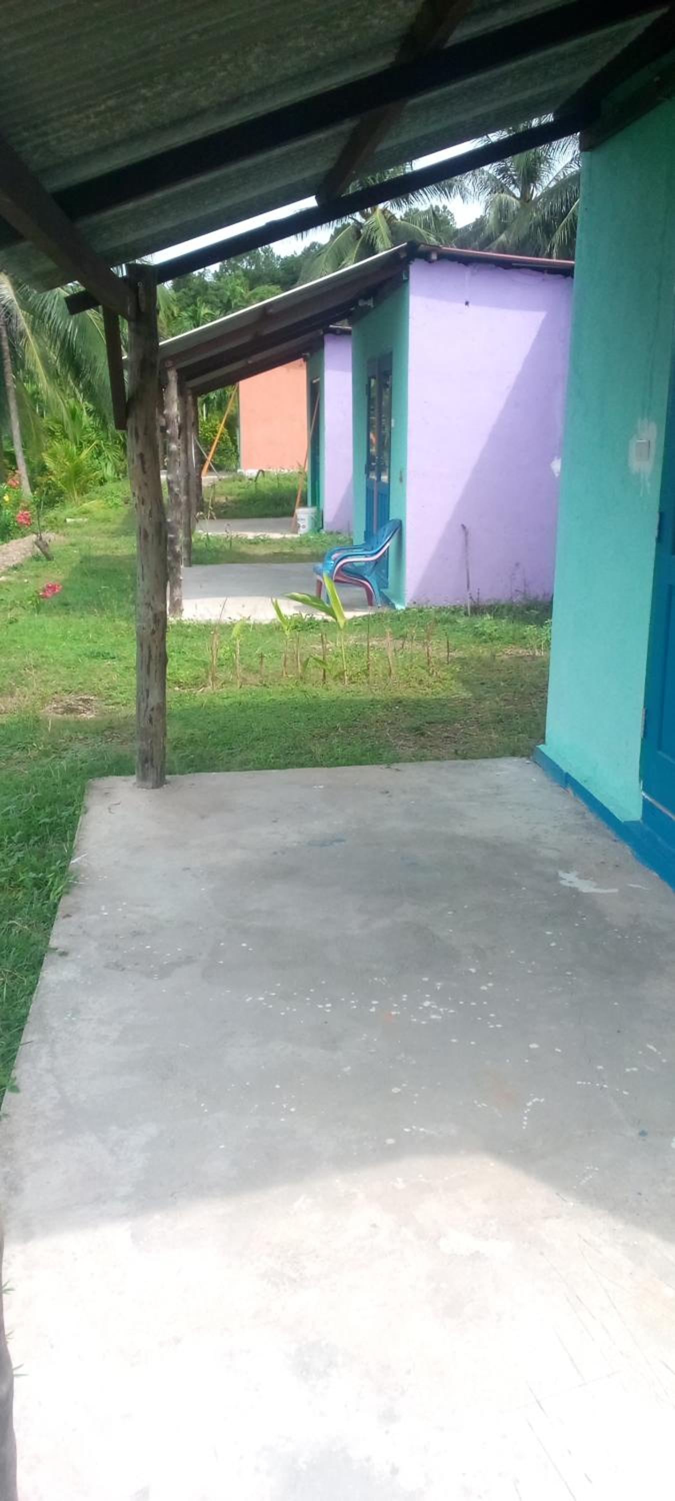 Photo 18