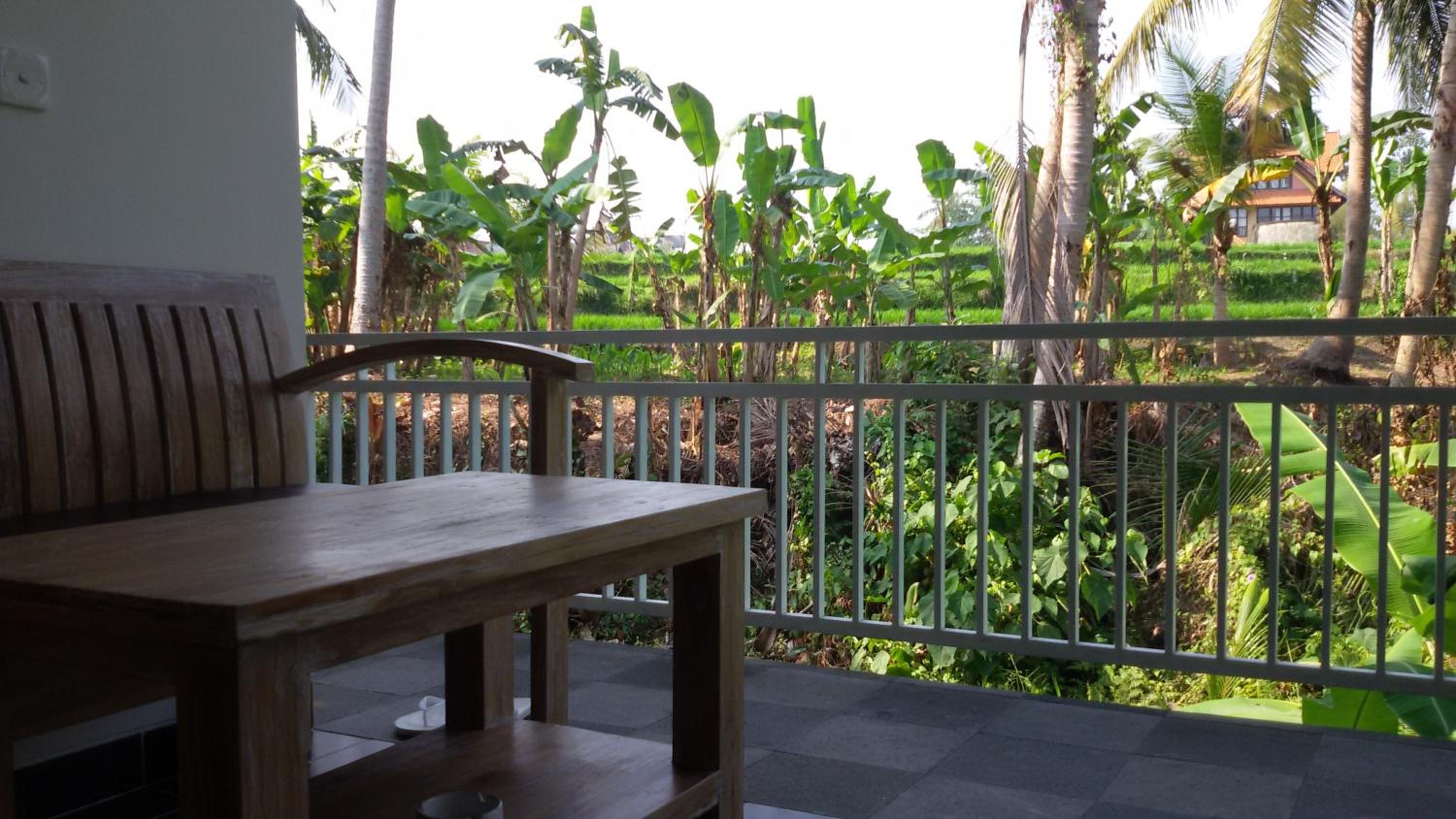 Blu Mango view 3