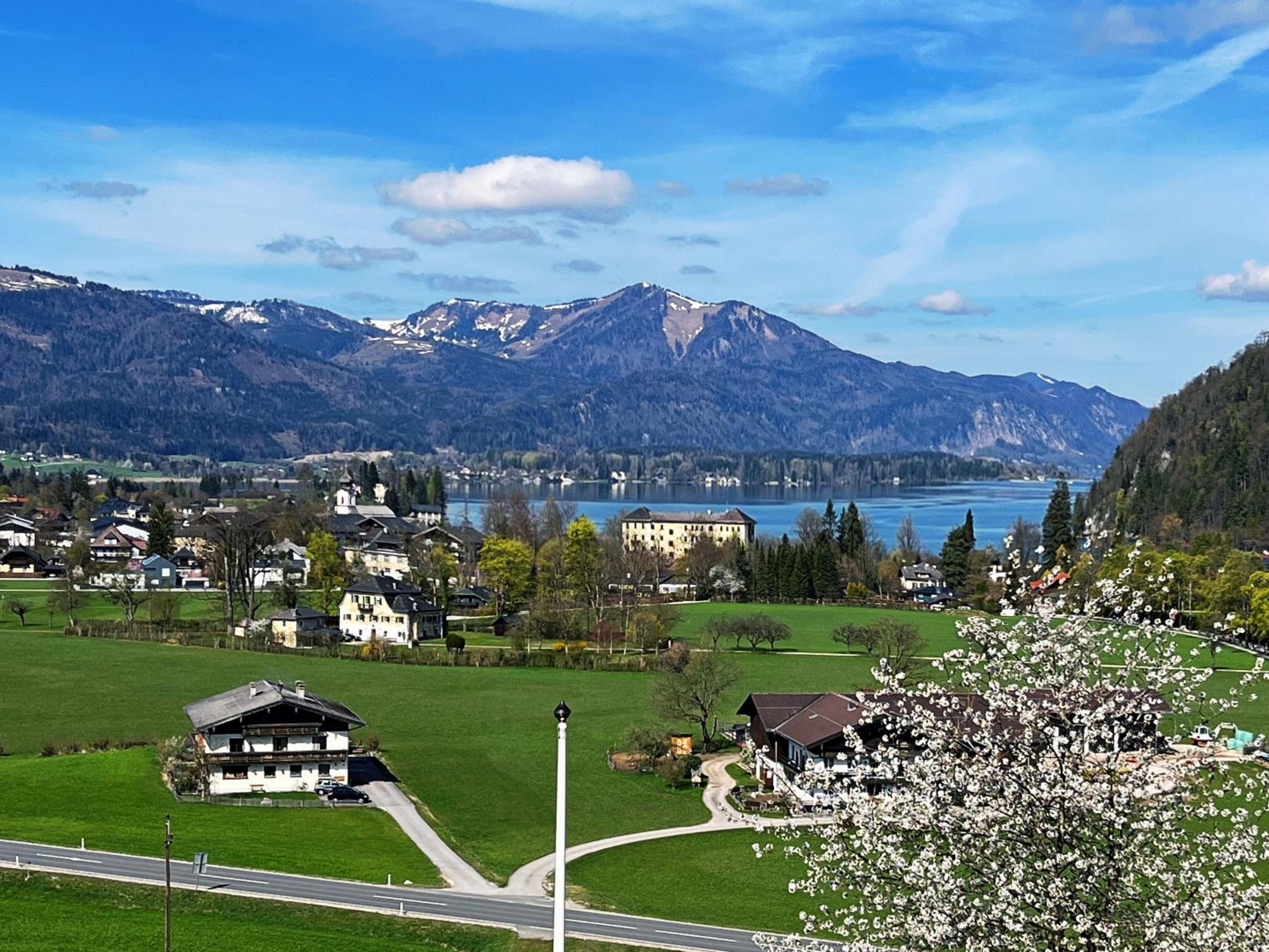 Wolfgangsee Seeblickplatzl