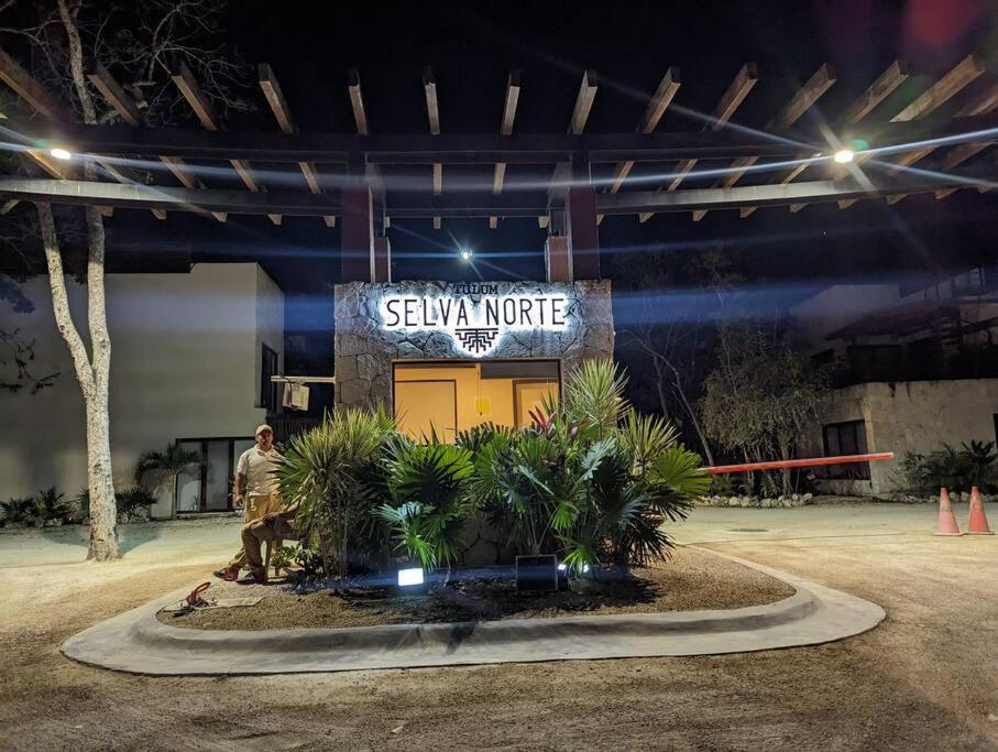 Suite entre cenotes y selva view 5