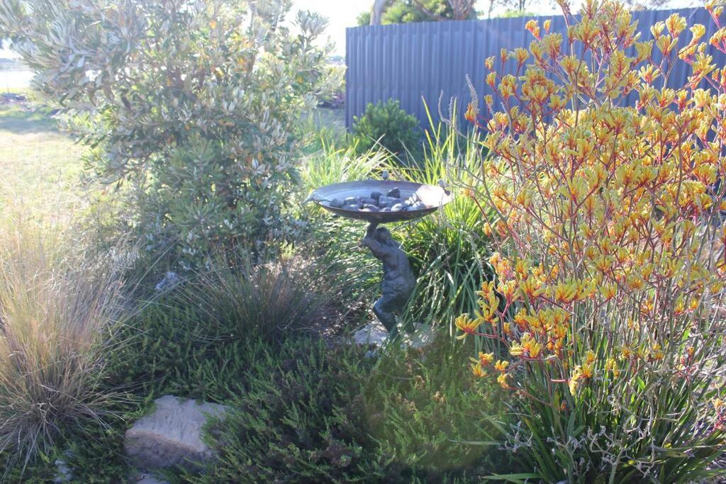 Waterside living: the Tide House, Tasman Peninsula