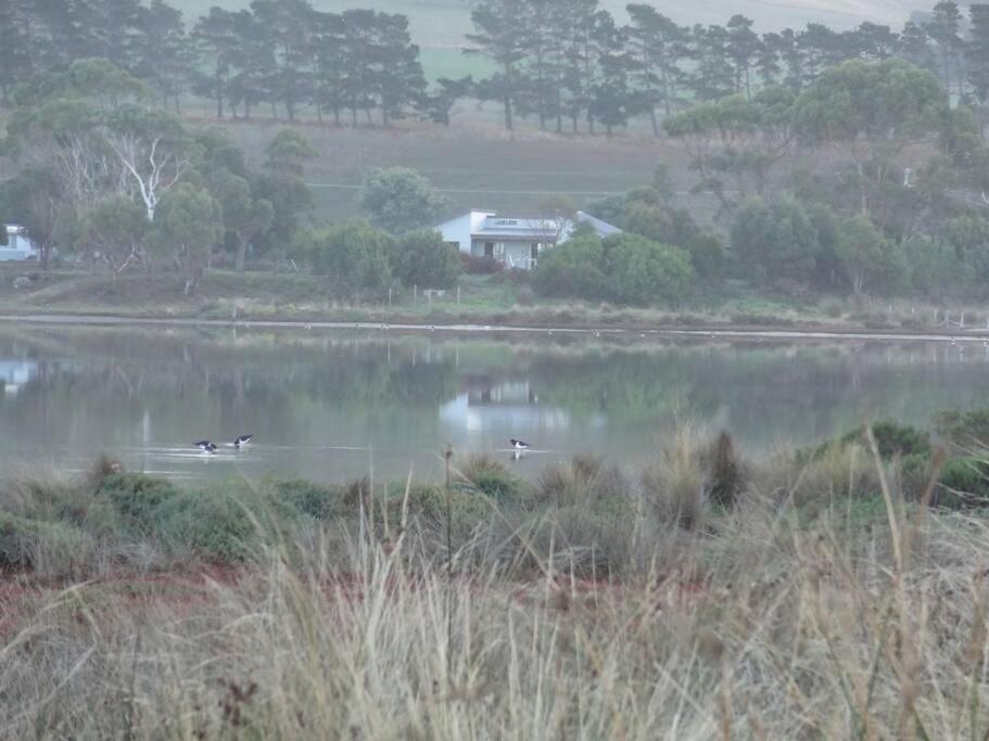 Waterside living: the Tide House, Tasman Peninsula