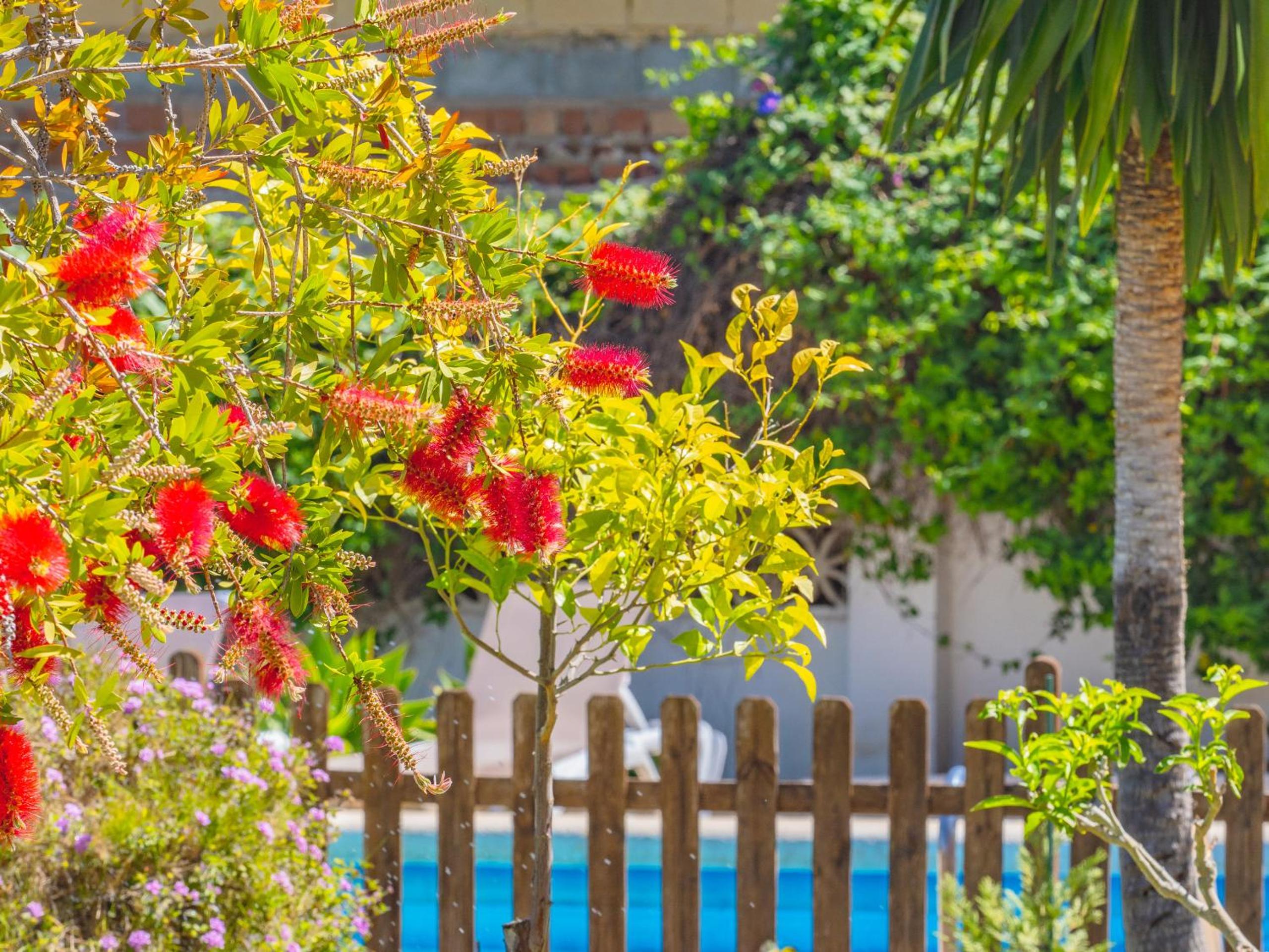 Cubo's Pink Townhouse Los Manantiales