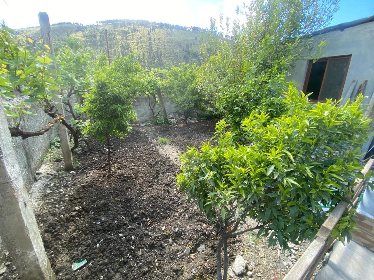 Guesthouse SELI