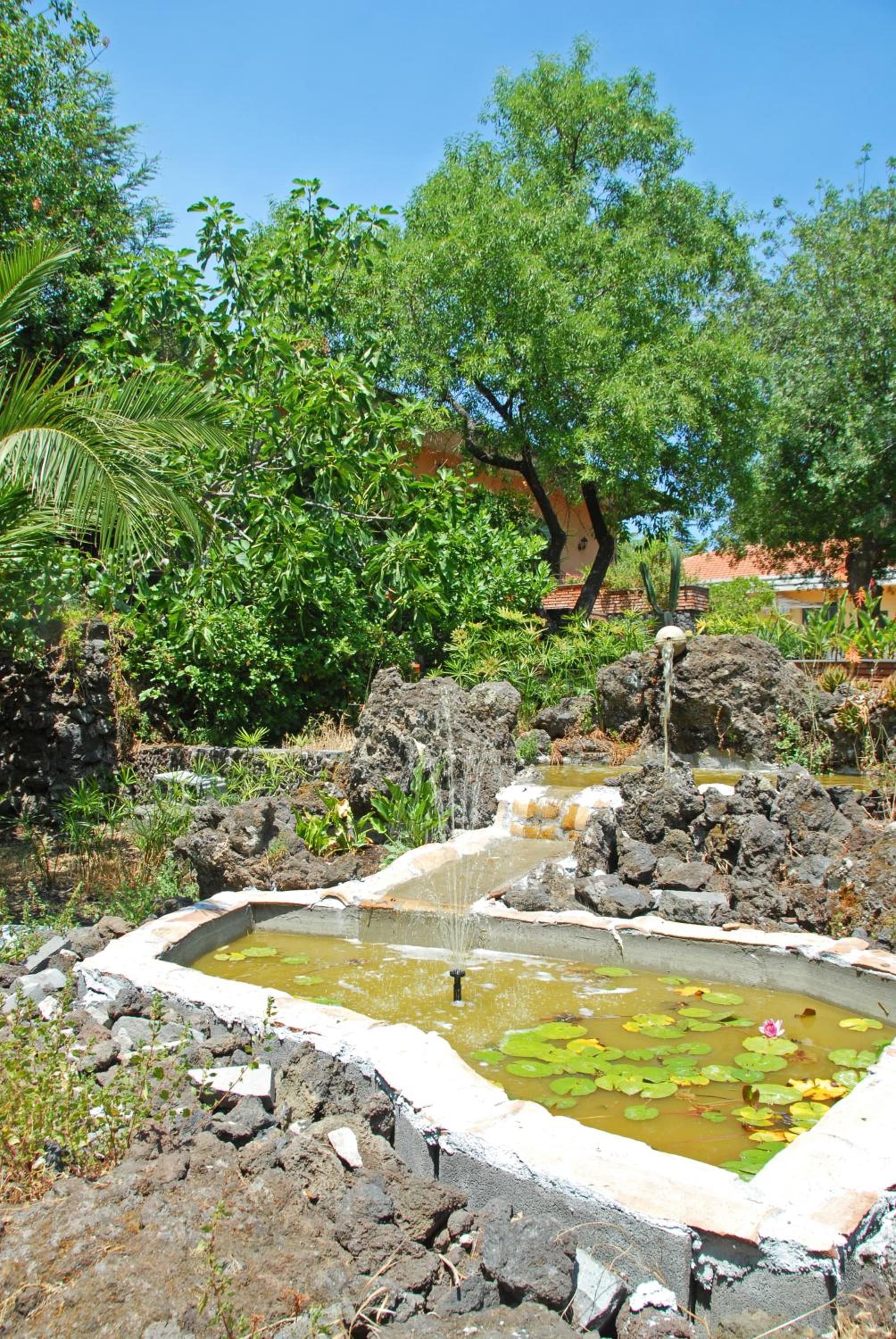Photo 28