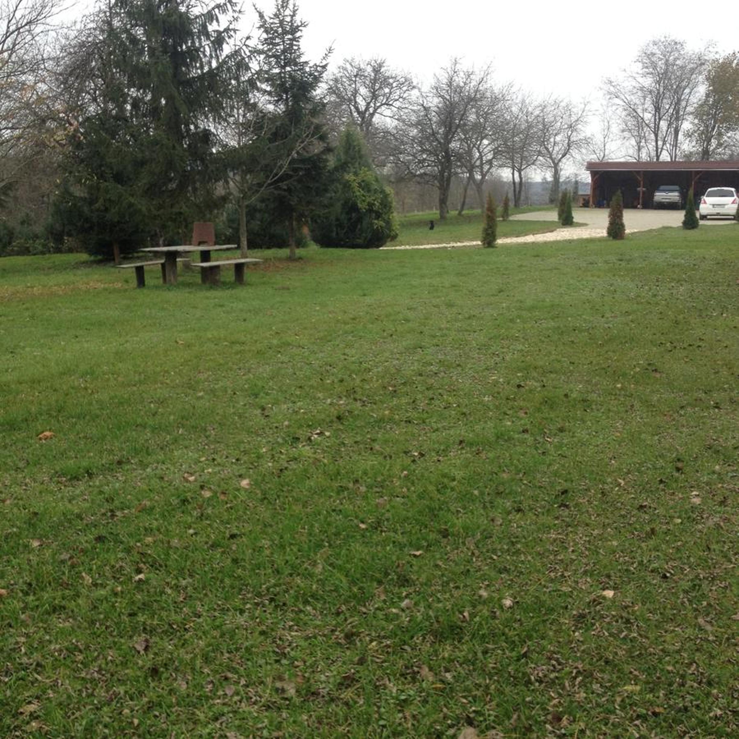 Photo 44