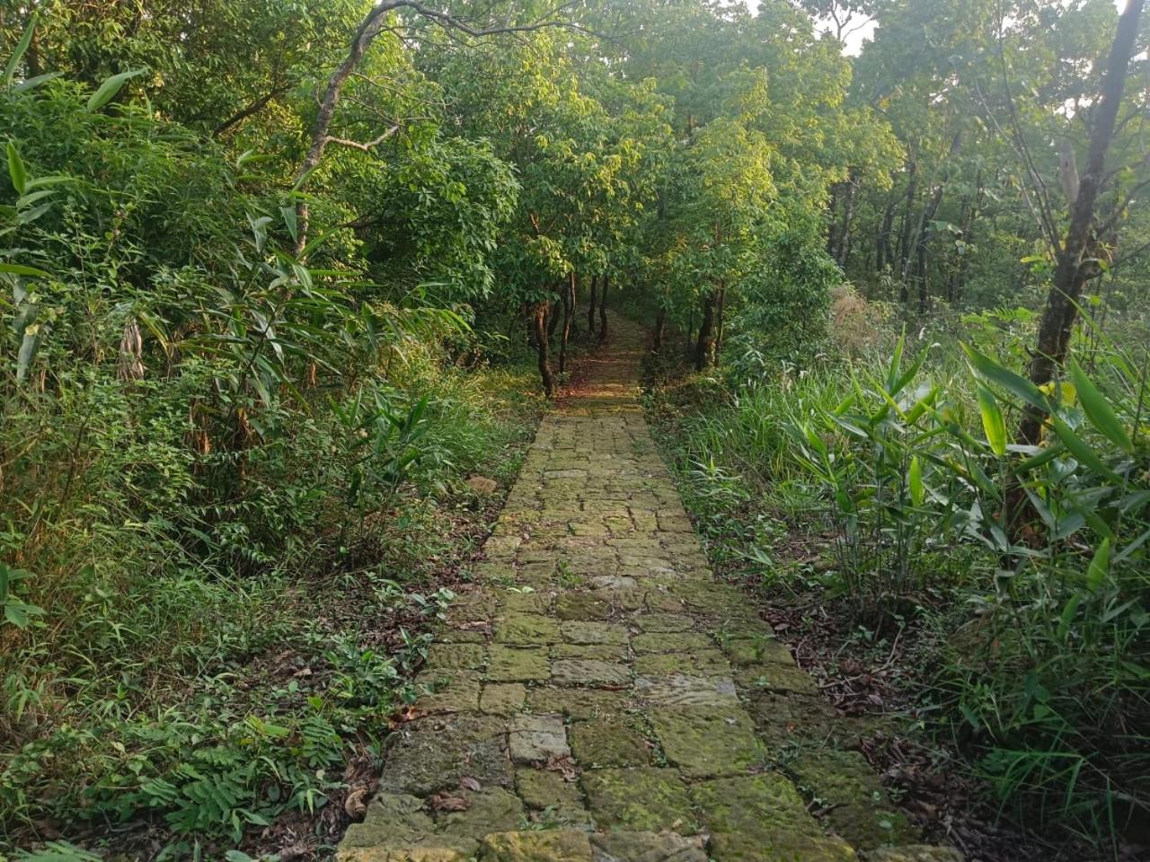 Ibankordor Jungle Resort view 2