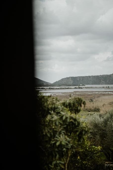 Lake House