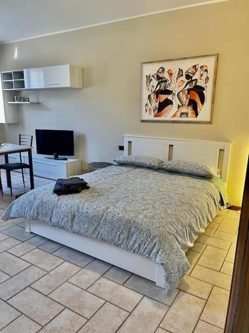 Belgioioso Apartments - Monolocale