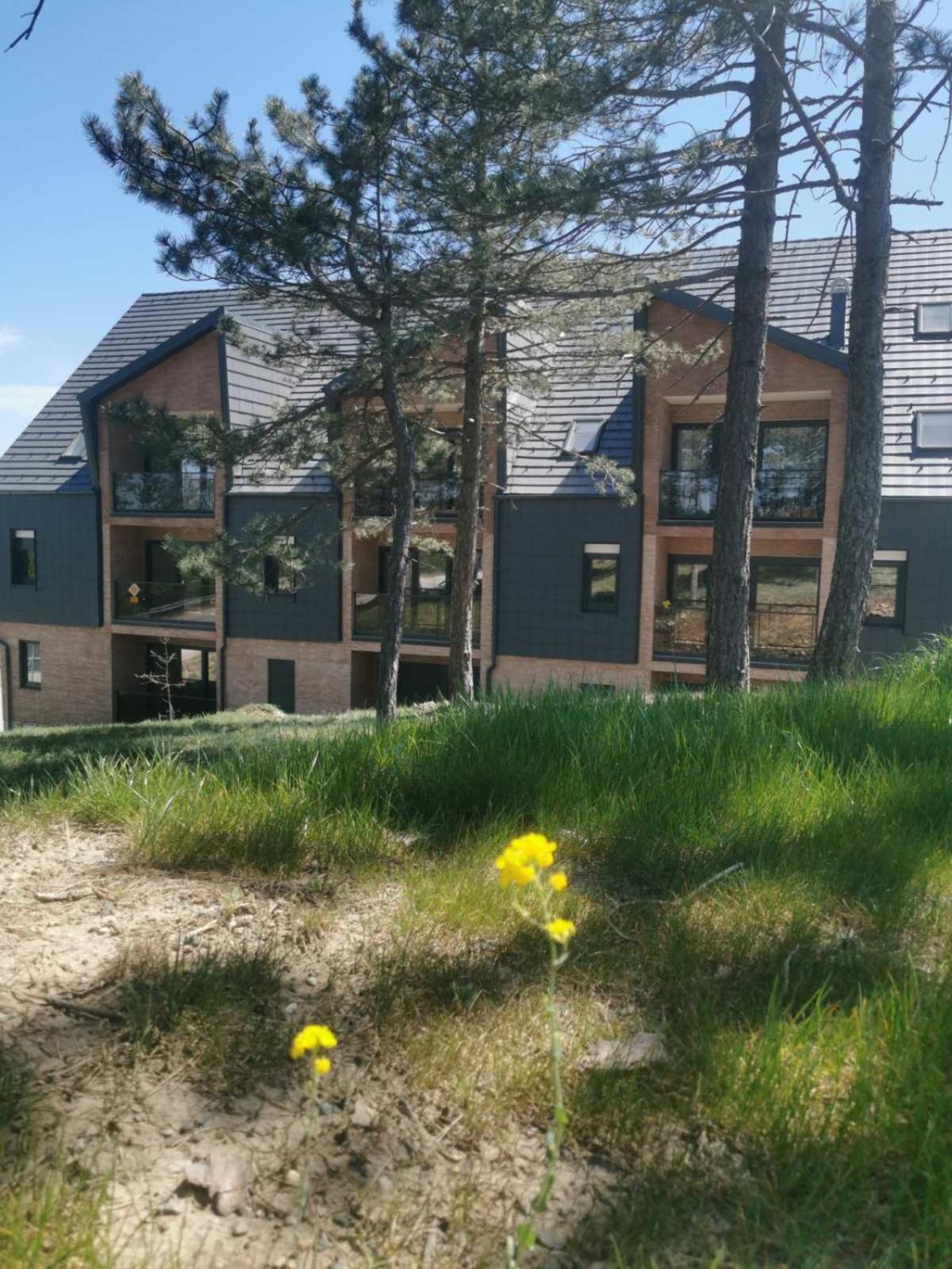 Studio Vidik Sofija