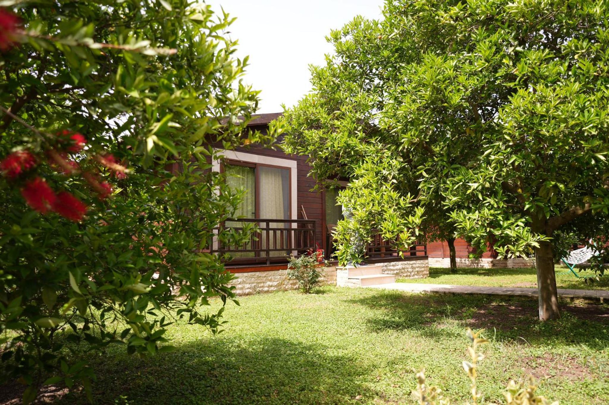 Photo 41