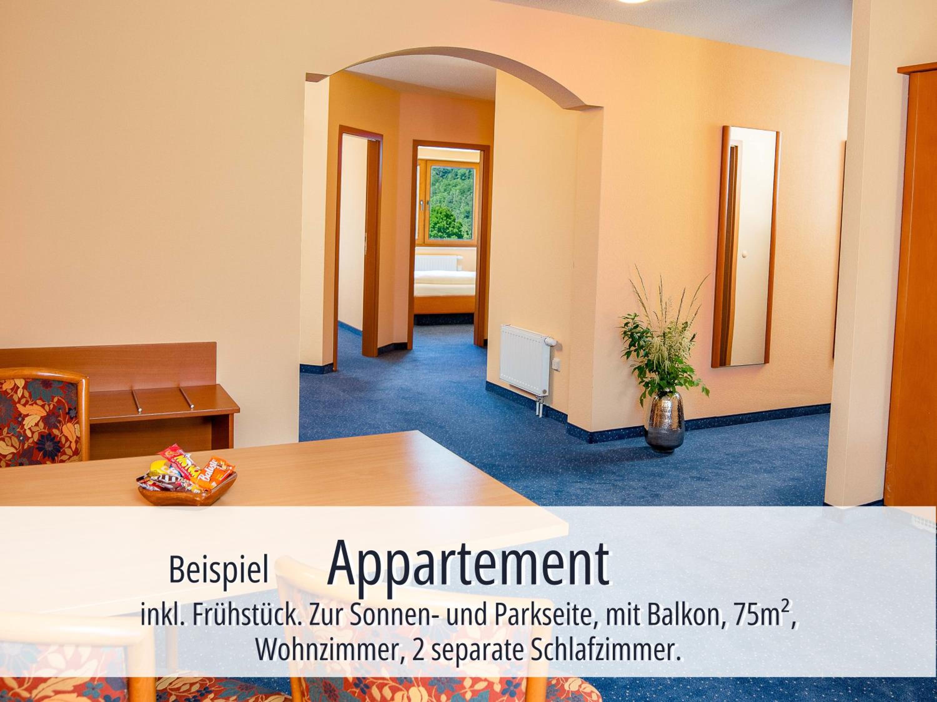 Hotel Am Kurhaus mit erstem Ayurveda Center Sachsens - direkt am Gesundheitsbad ACTINON Kurpark - Property Image 28