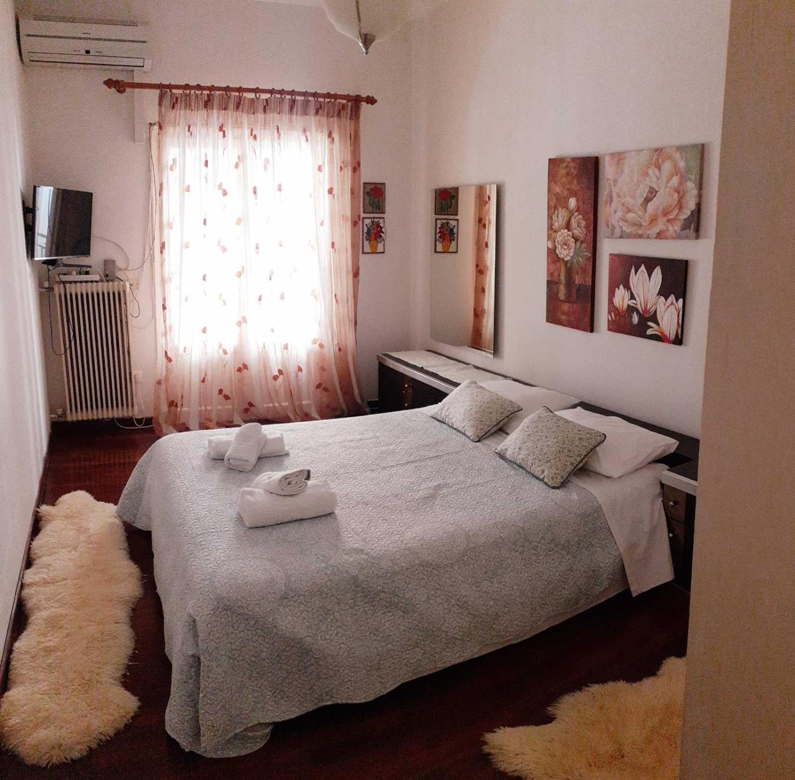Anthia Sunny Apartment in Kanoni photo 5