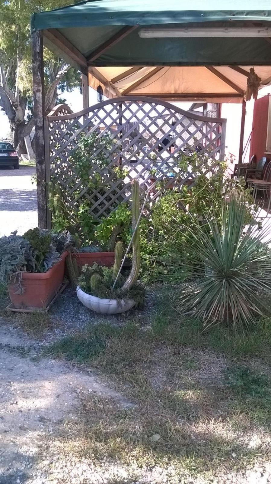 Photo 47