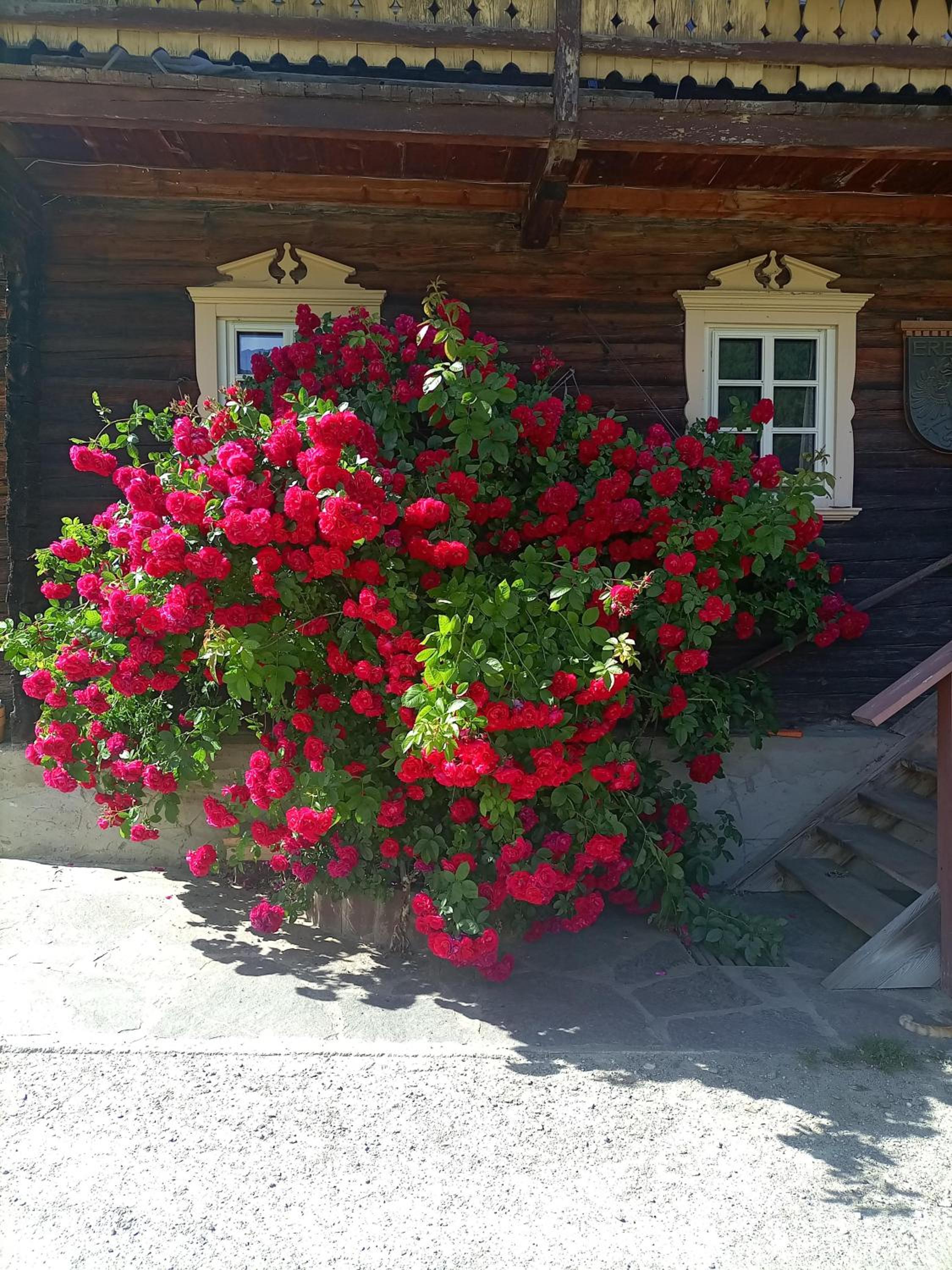 Obenfigerhof