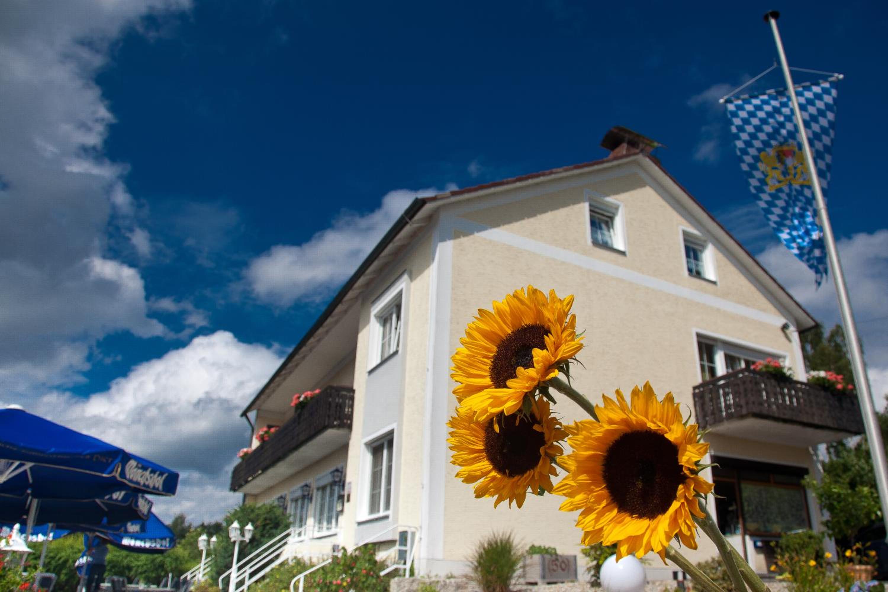Landgasthof Am Sonnenhang - Property Image 18