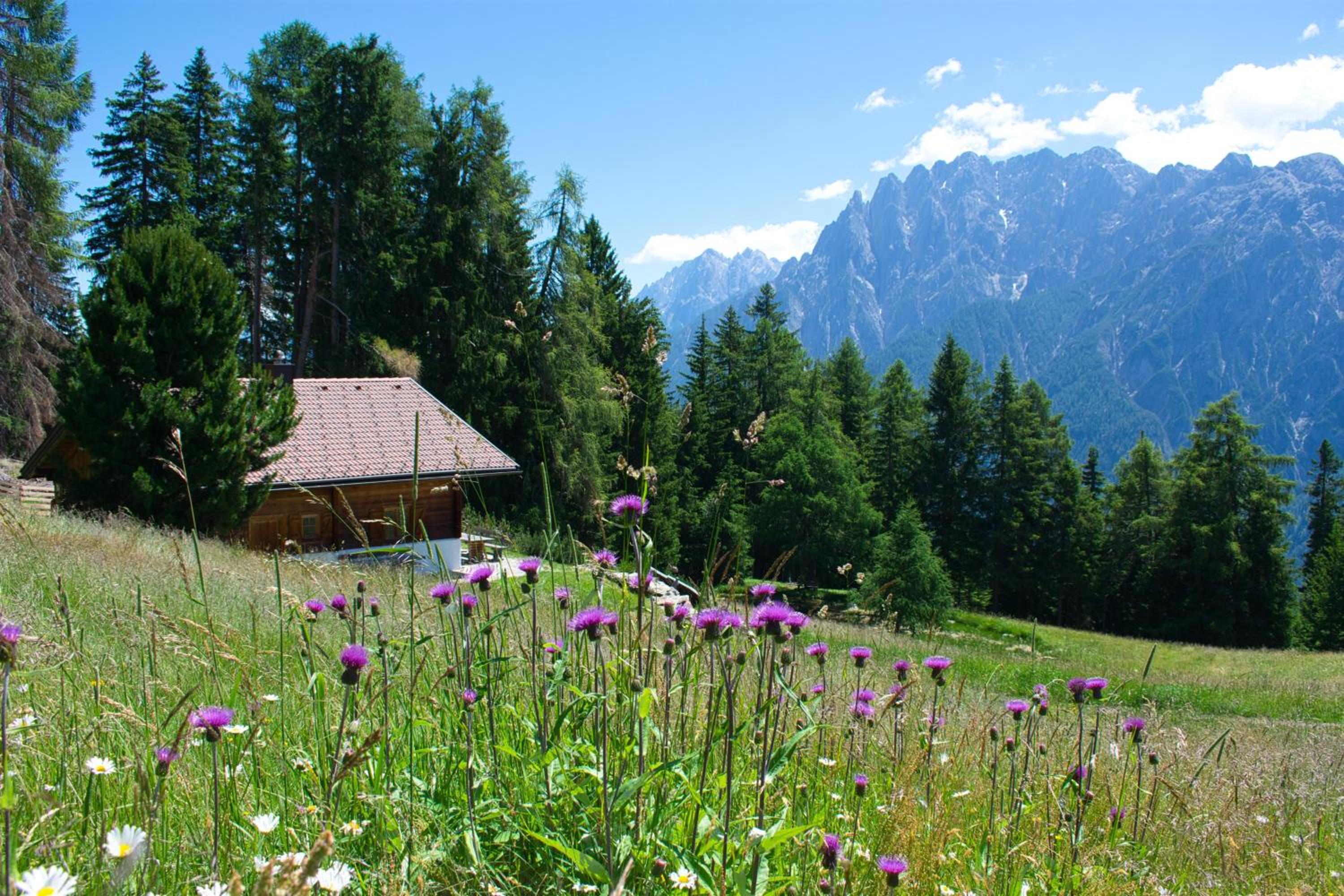 Bergquellenhütte