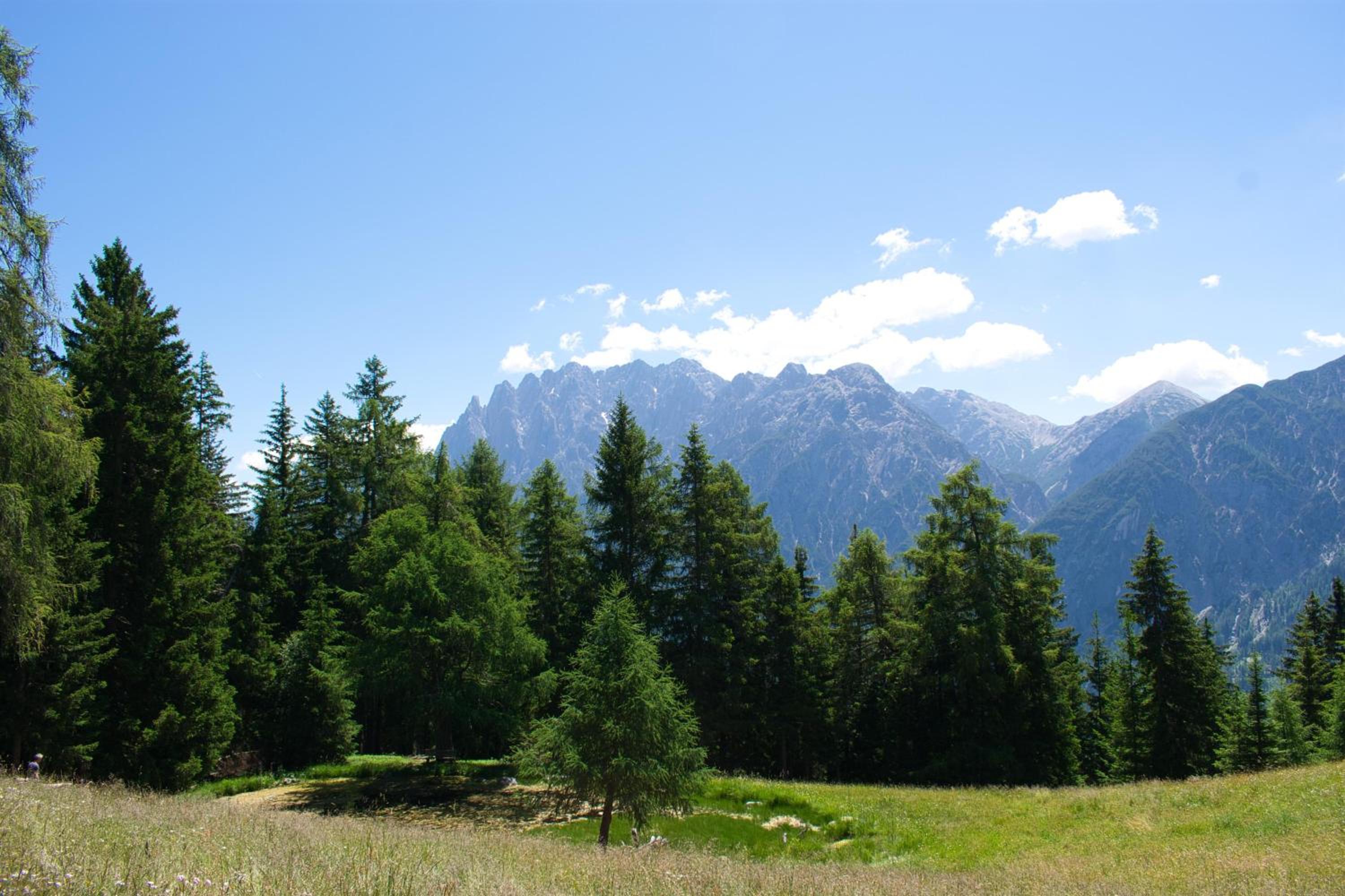 Bergquellenhütte