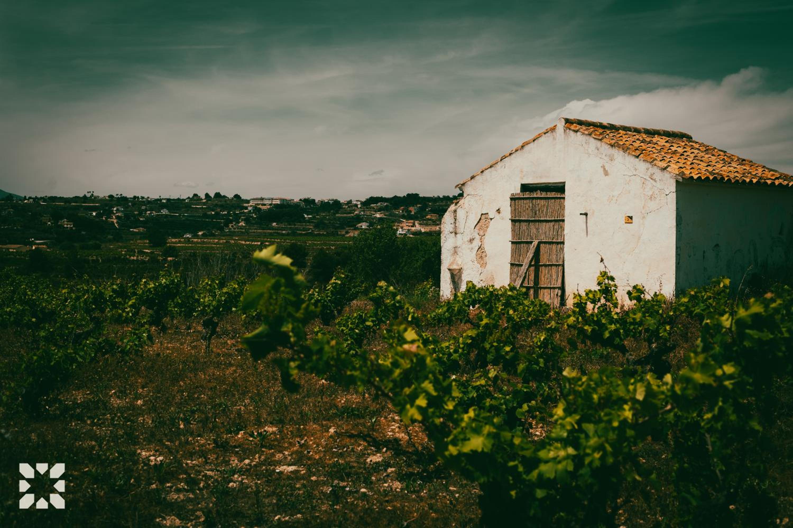 Villa Vermell by Abahana Villas