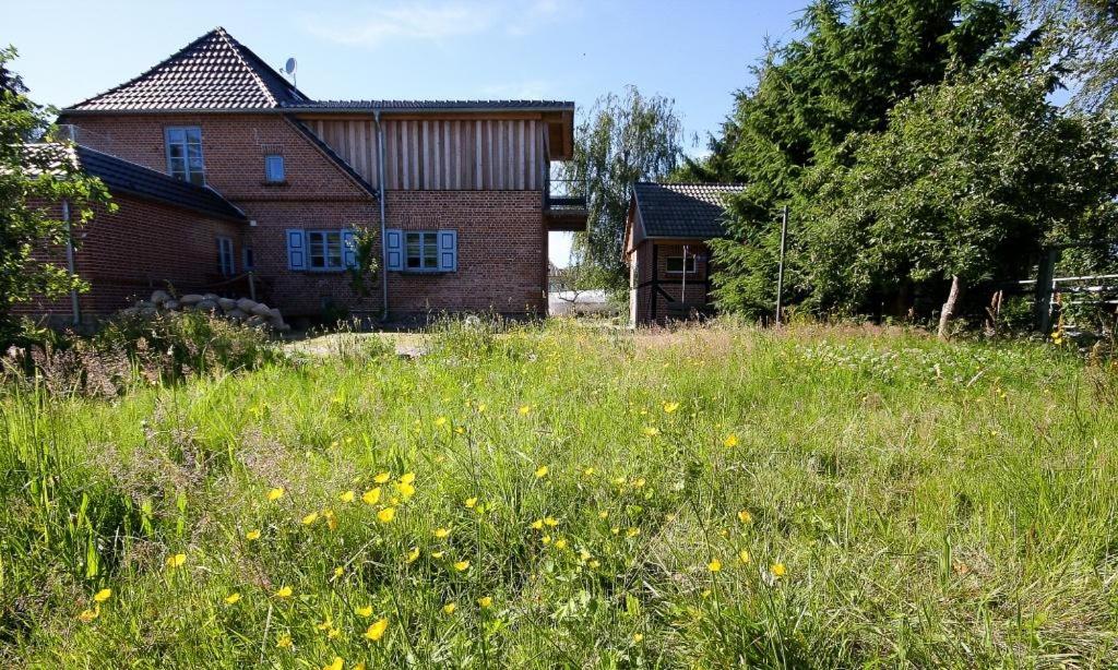 Haus zu den Büschen 01 view 2
