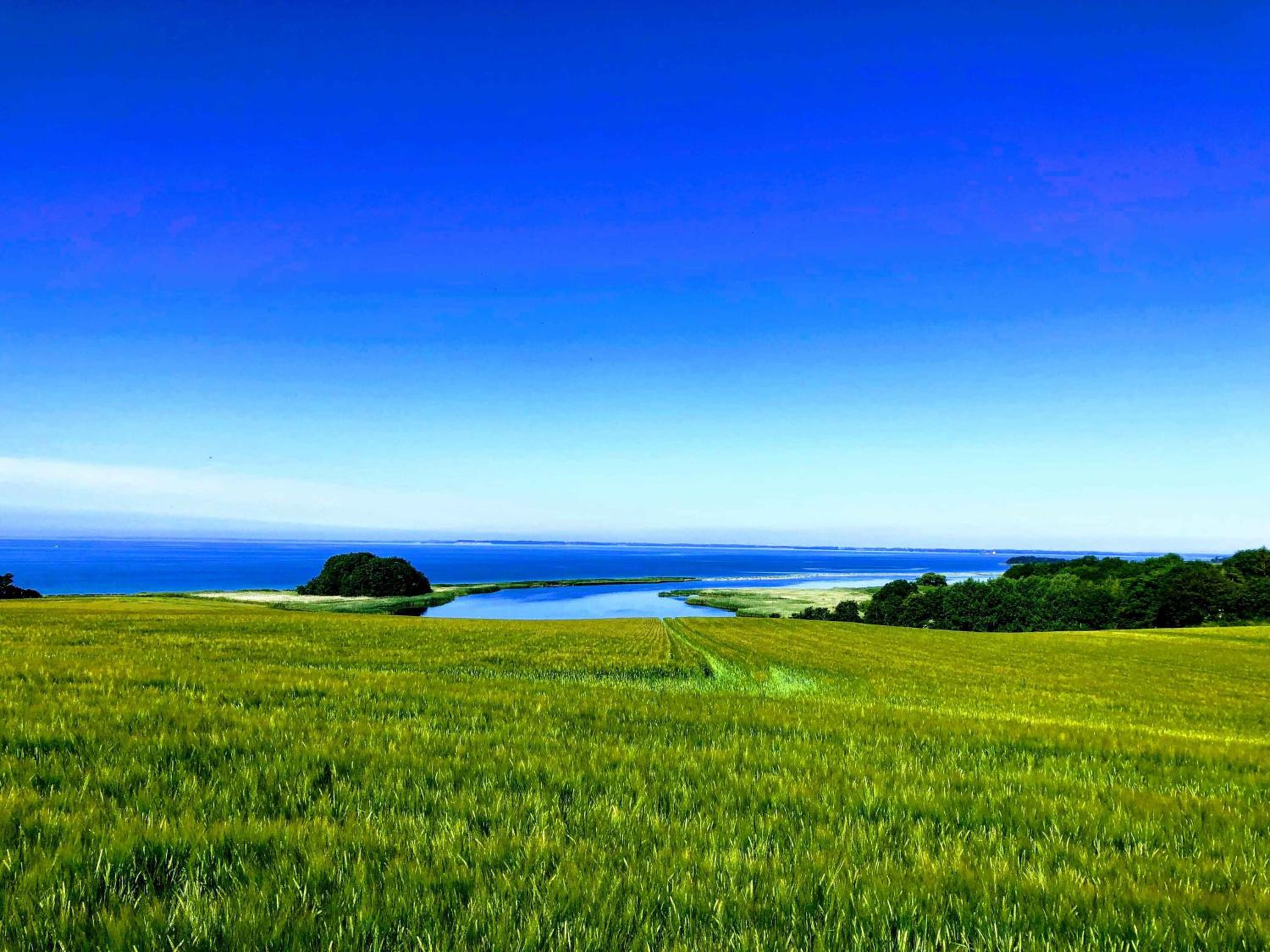 Funen Cottage With Fantastic Sea View