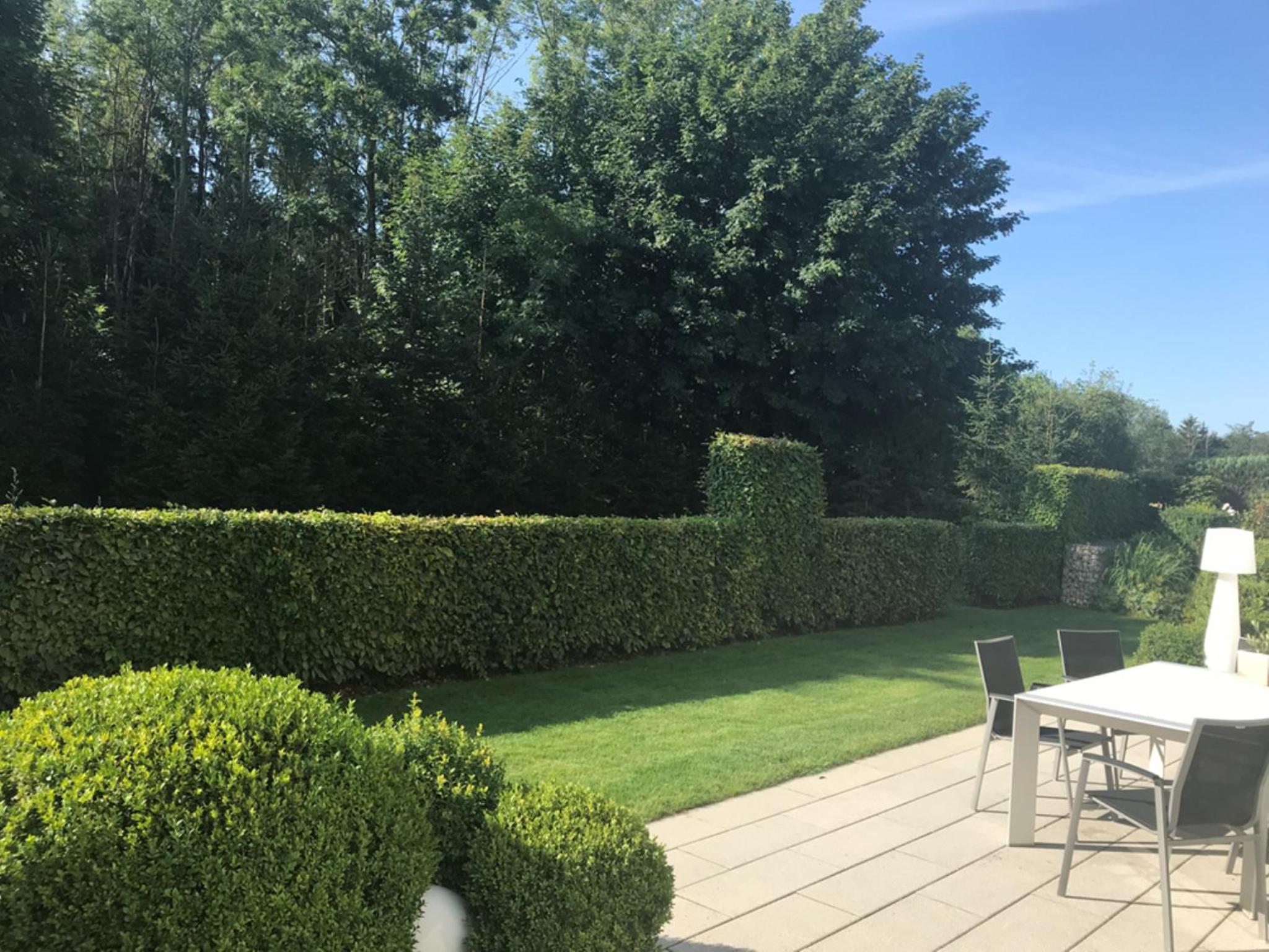 Ferienhaus am Waldrand