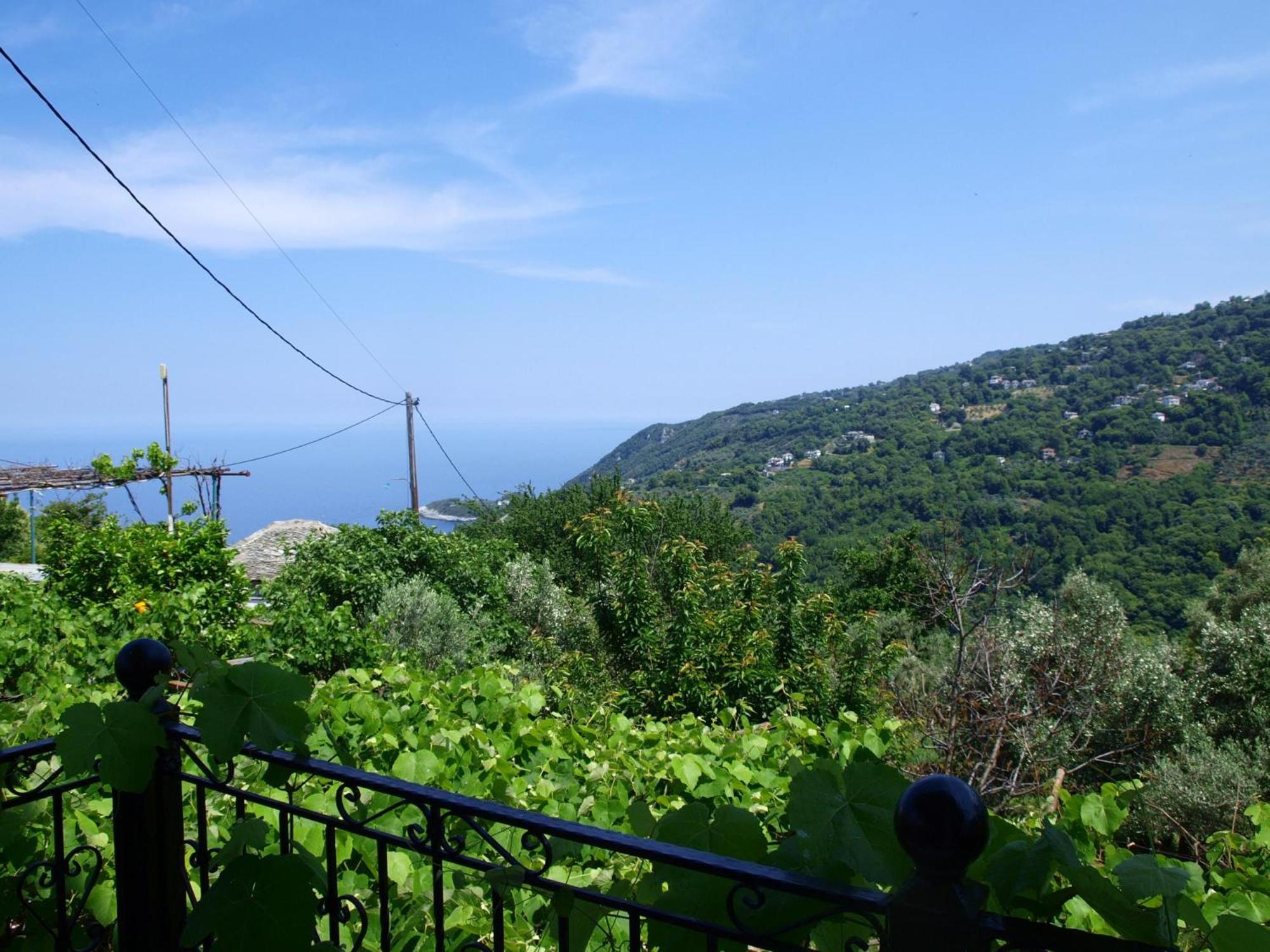 Paradeisos Flatlet with Garden View view 3