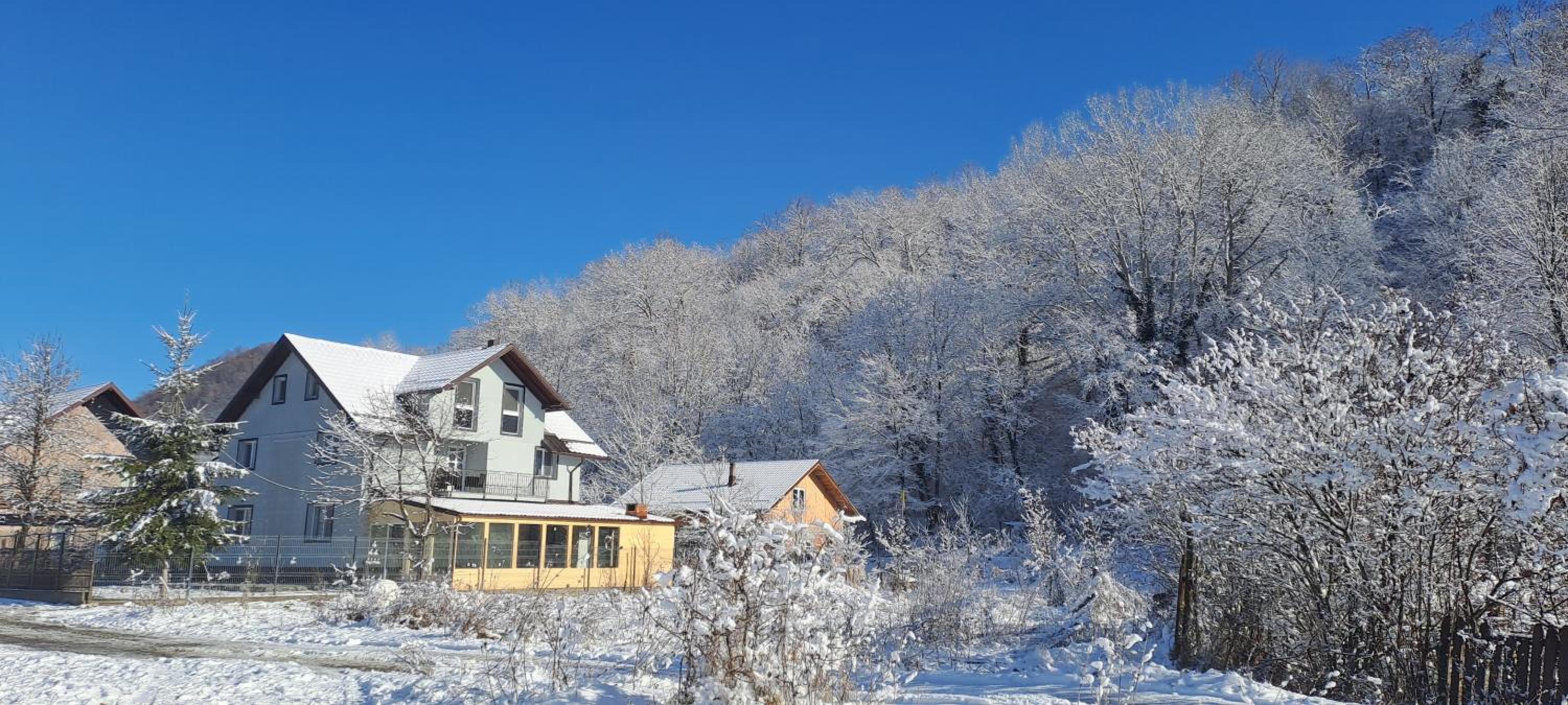 Photo 43