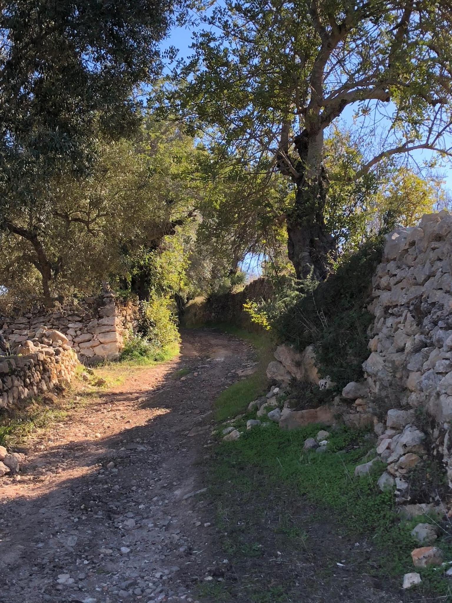 Glamping Casa Esteval